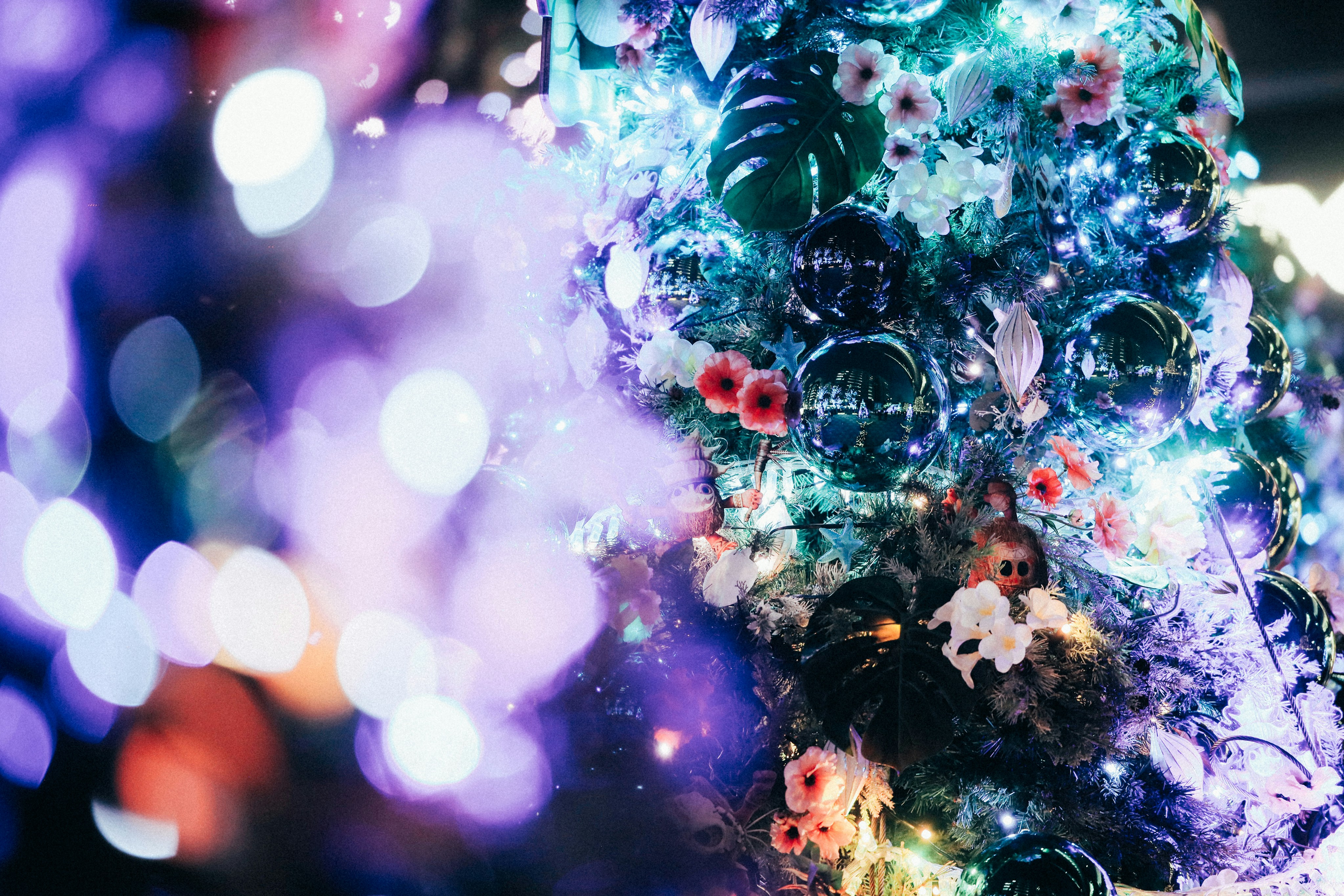 Photo by tsuyoshikozu