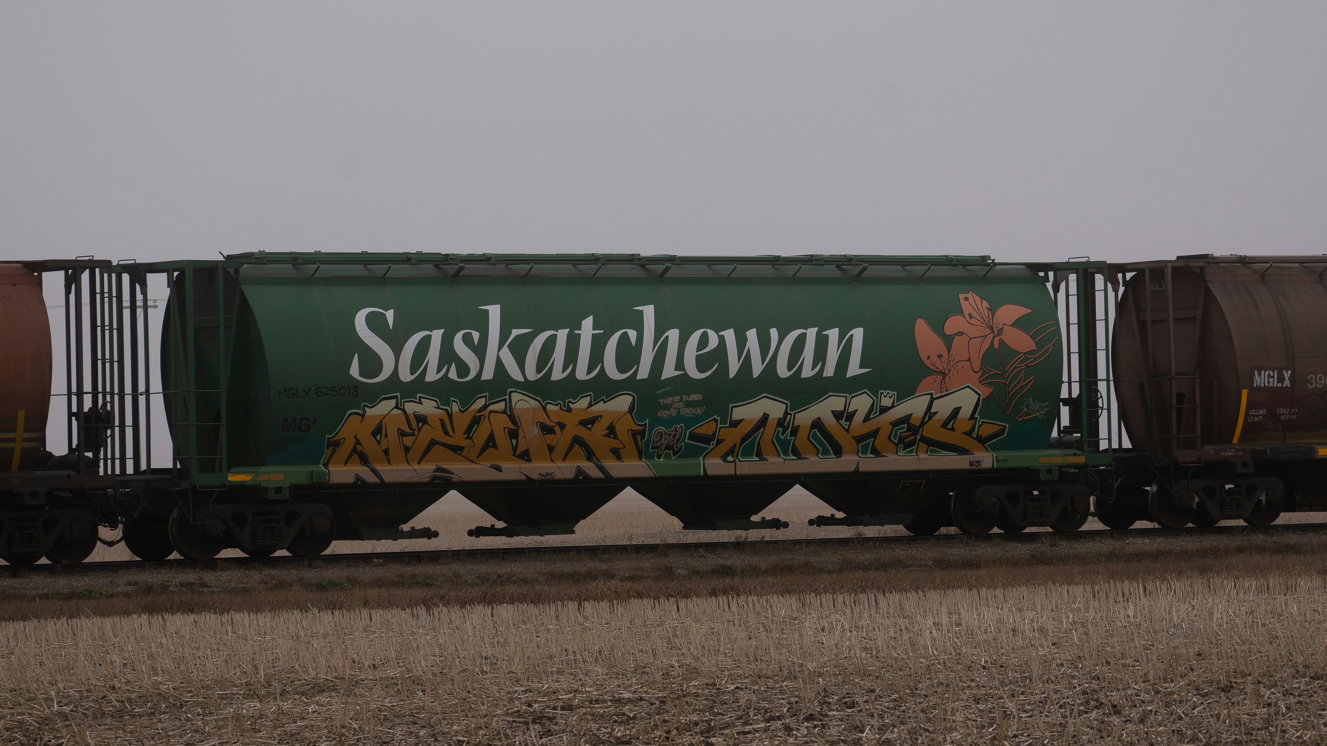 A saskatchewan train car with graffiti.
