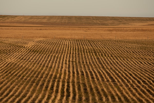 Secetă agricultură
