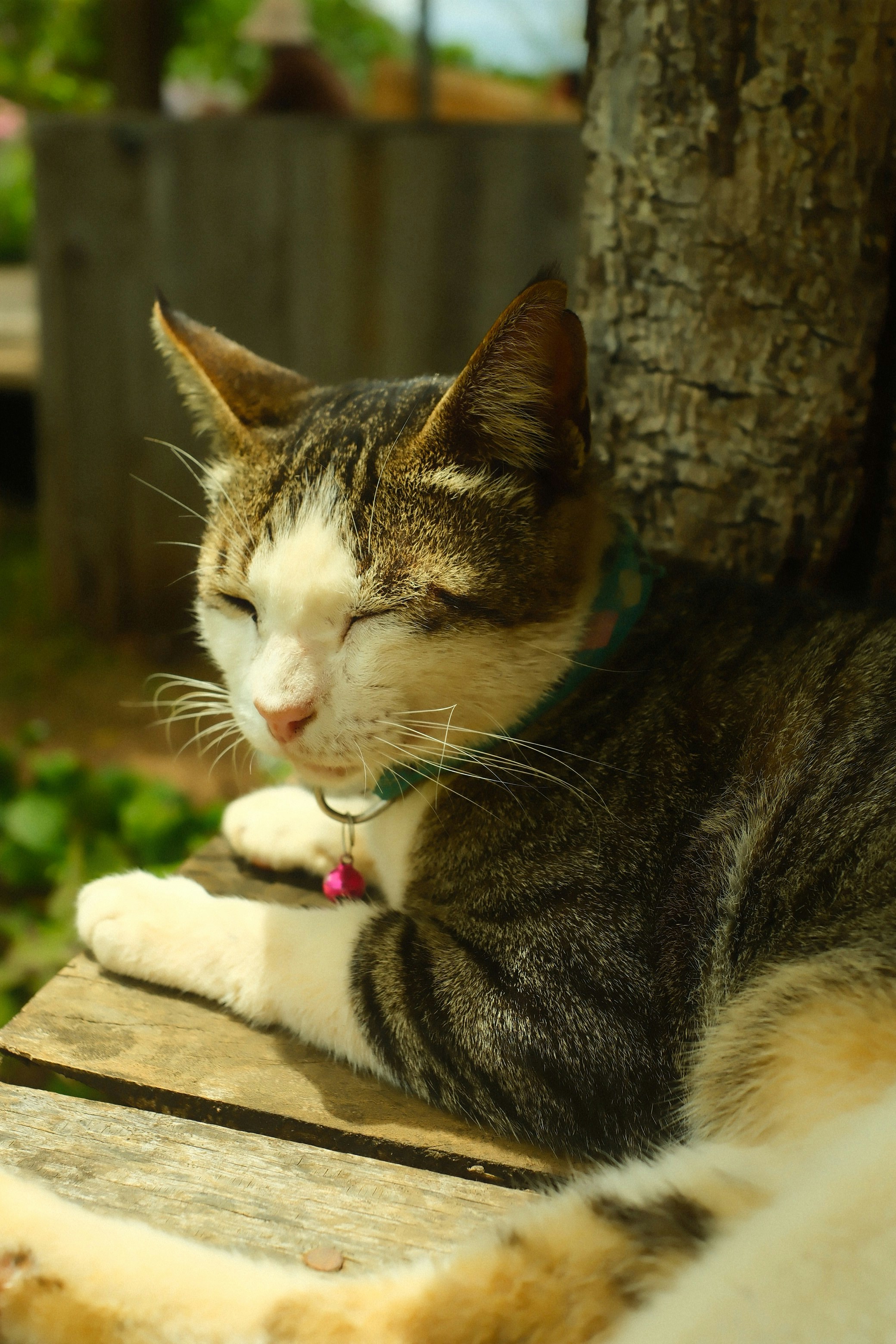 Photo by louisdraymond