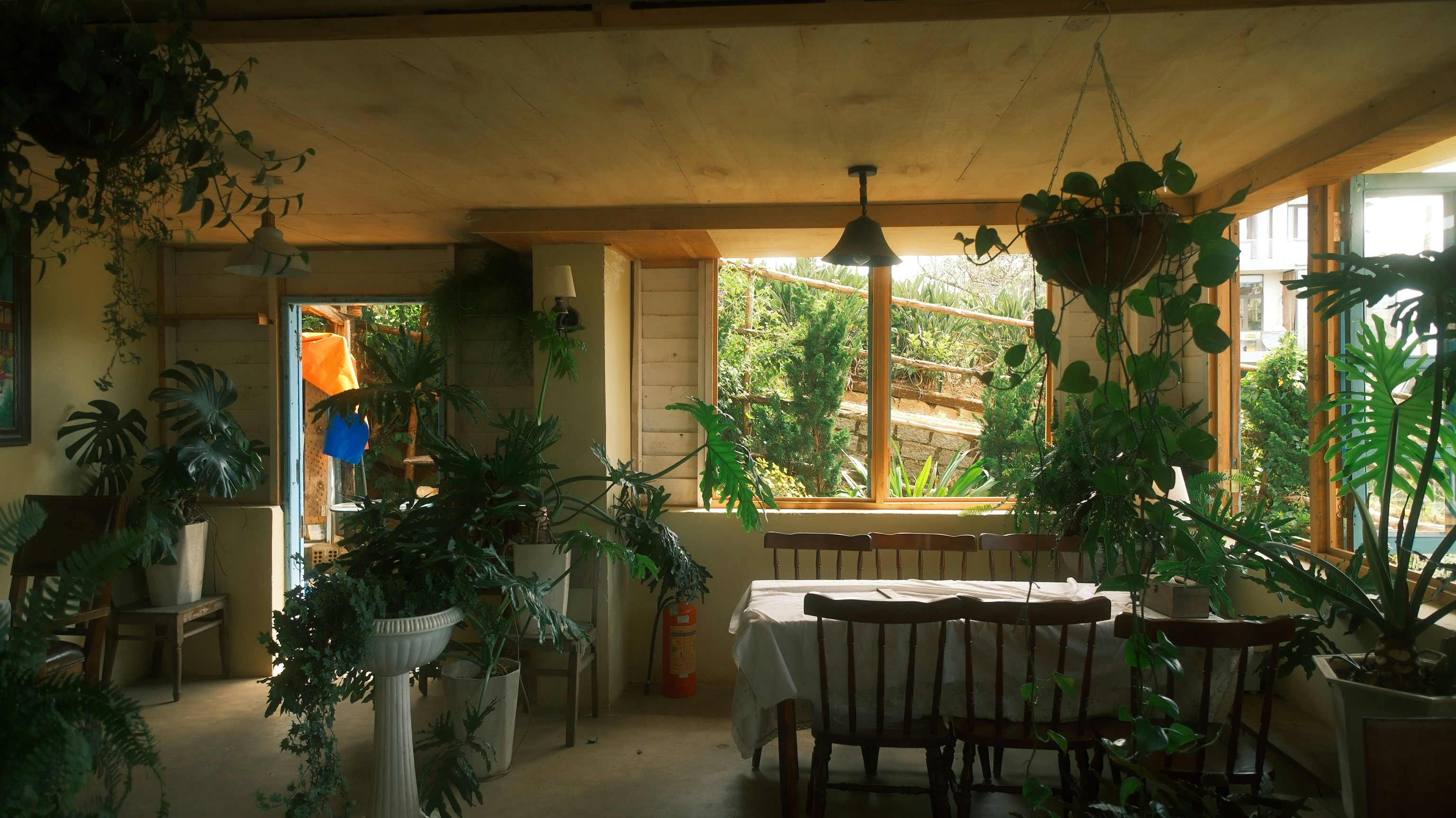 Photo by louisdraymond