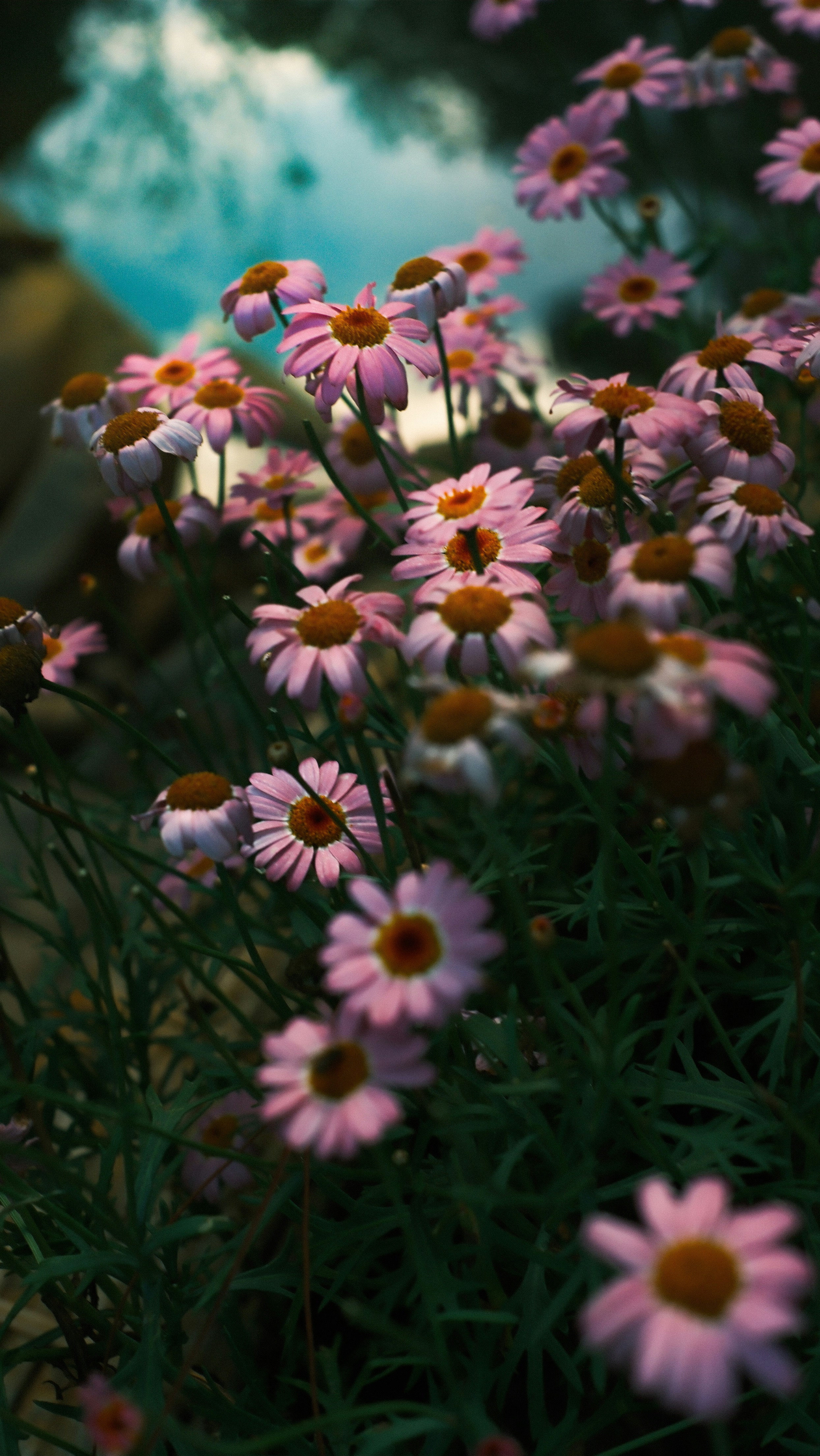 Photo by louisdraymond