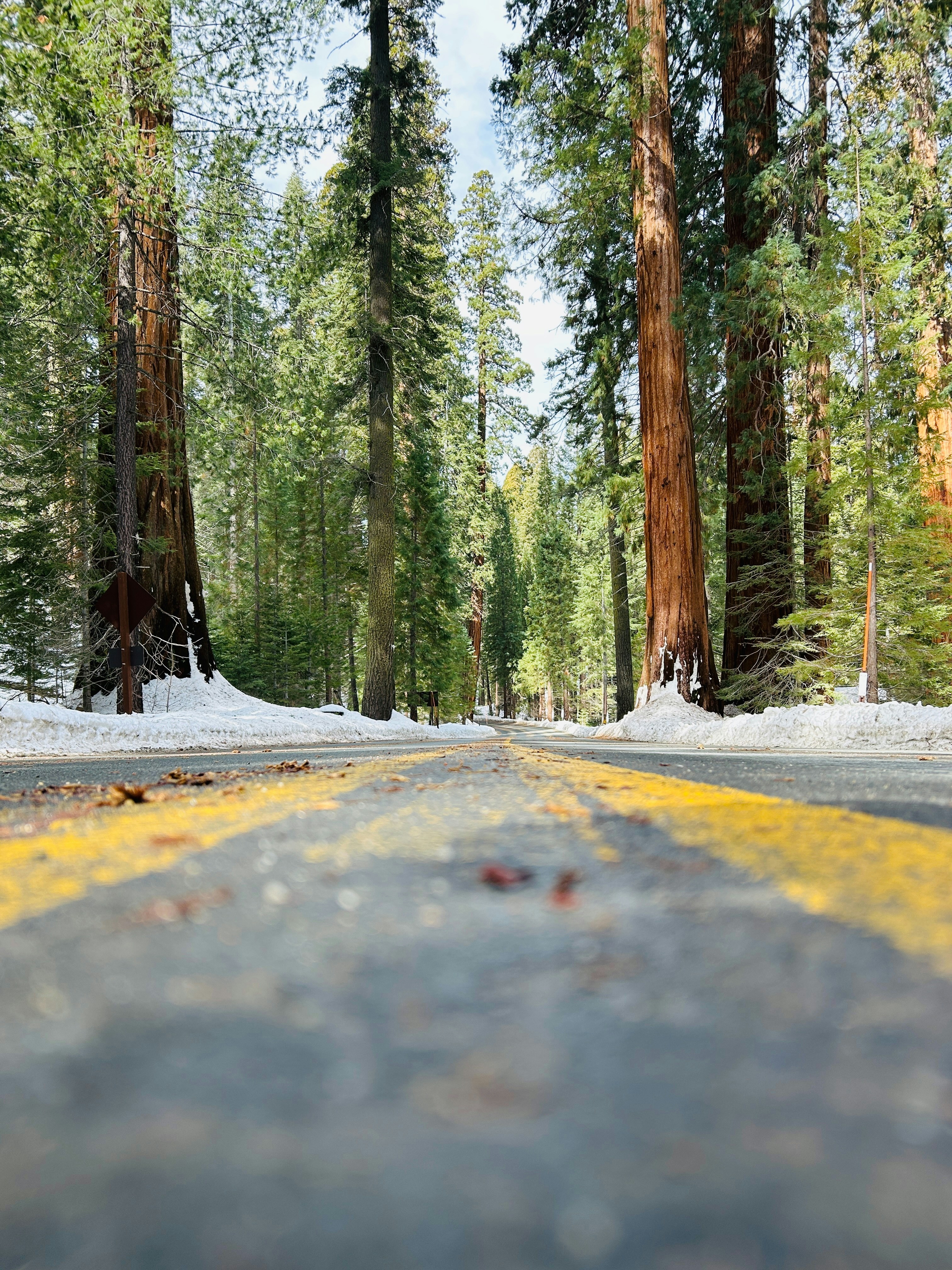 Photo by gibsoncrafton