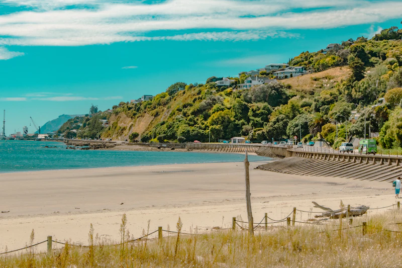 Cafes With the Fastest Wifi in Nelson (Speeds Actually Tested)