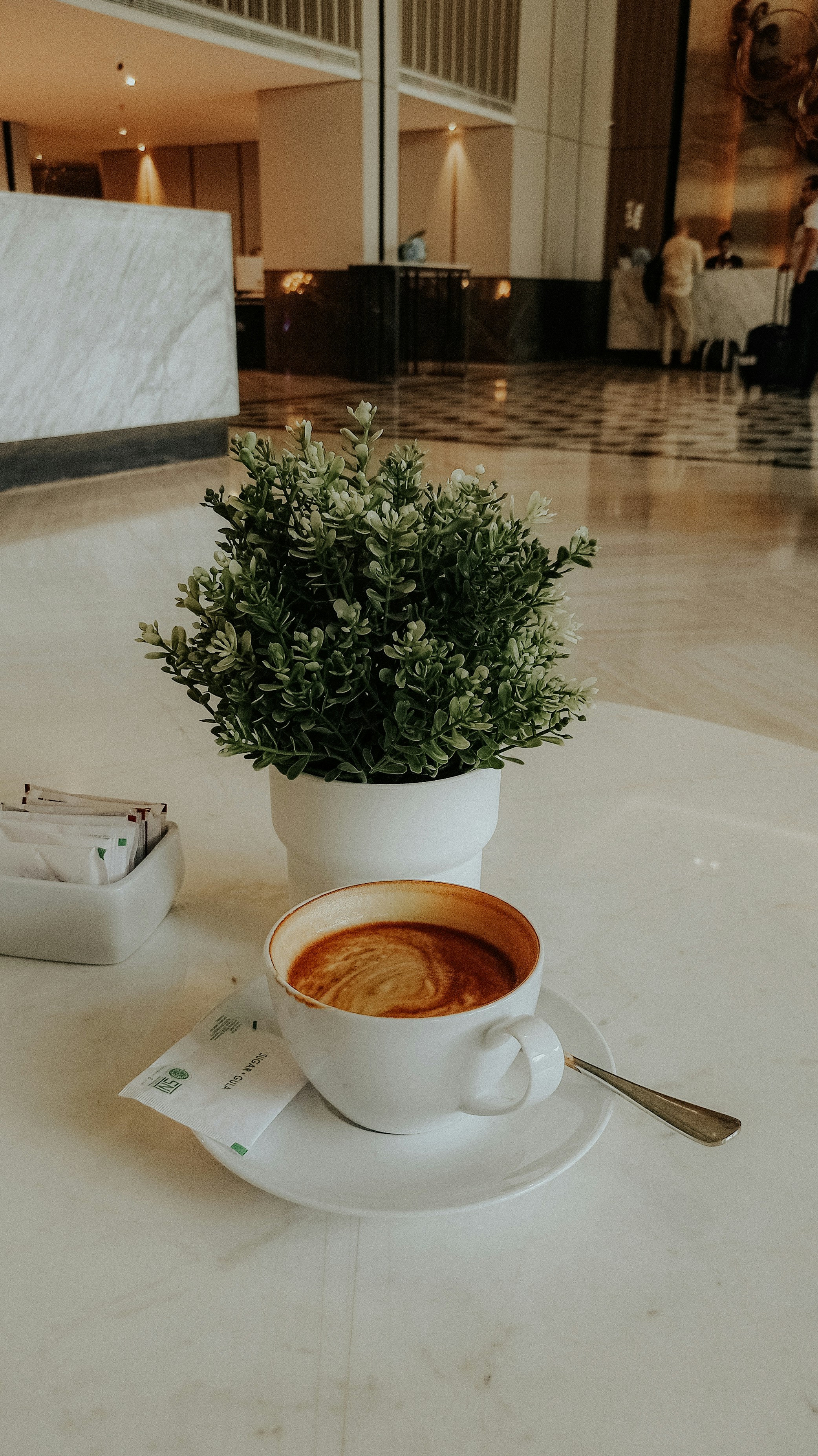 Coffee and plant on a modern hotel table.