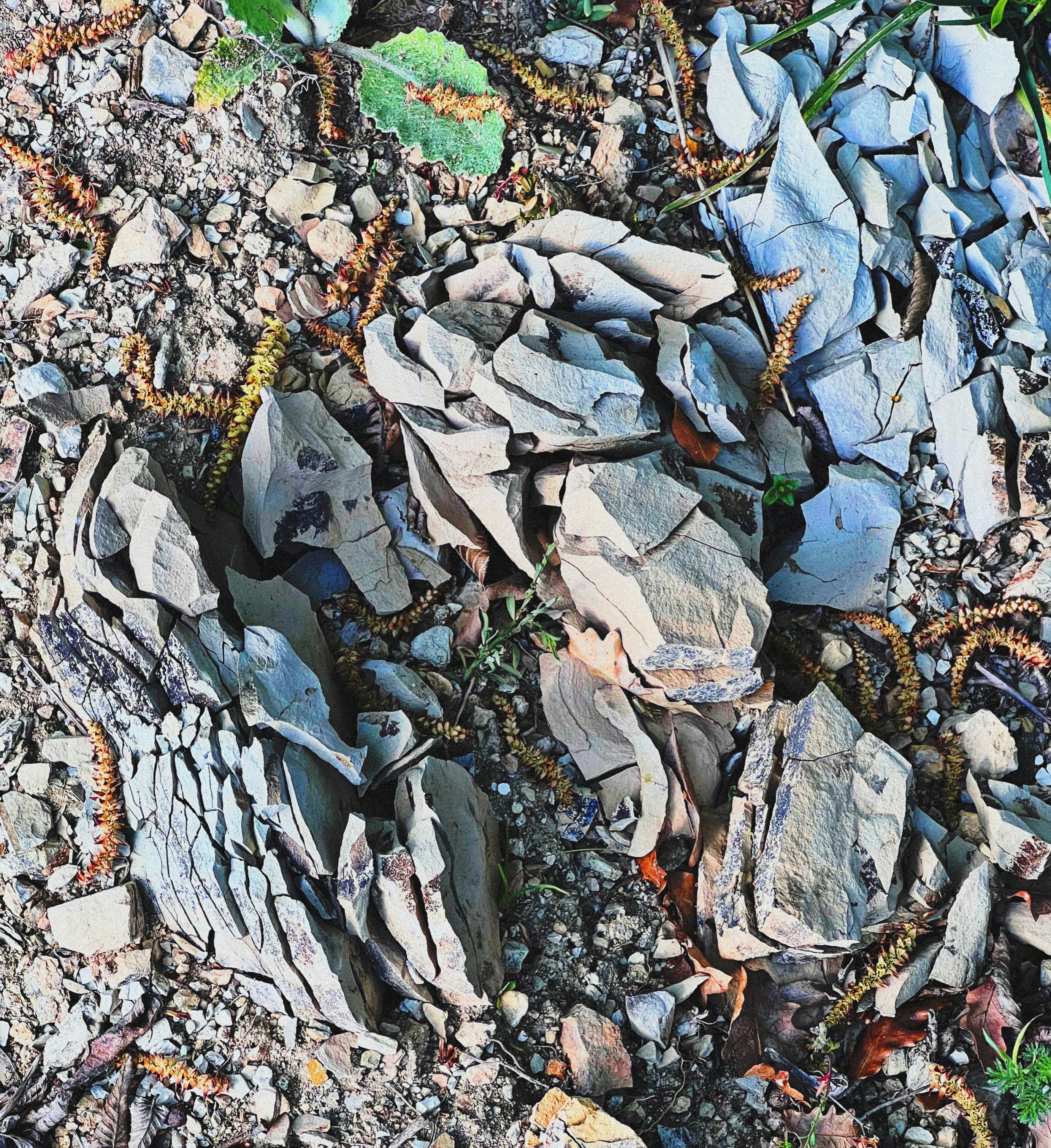 Photo by shaimaaasami