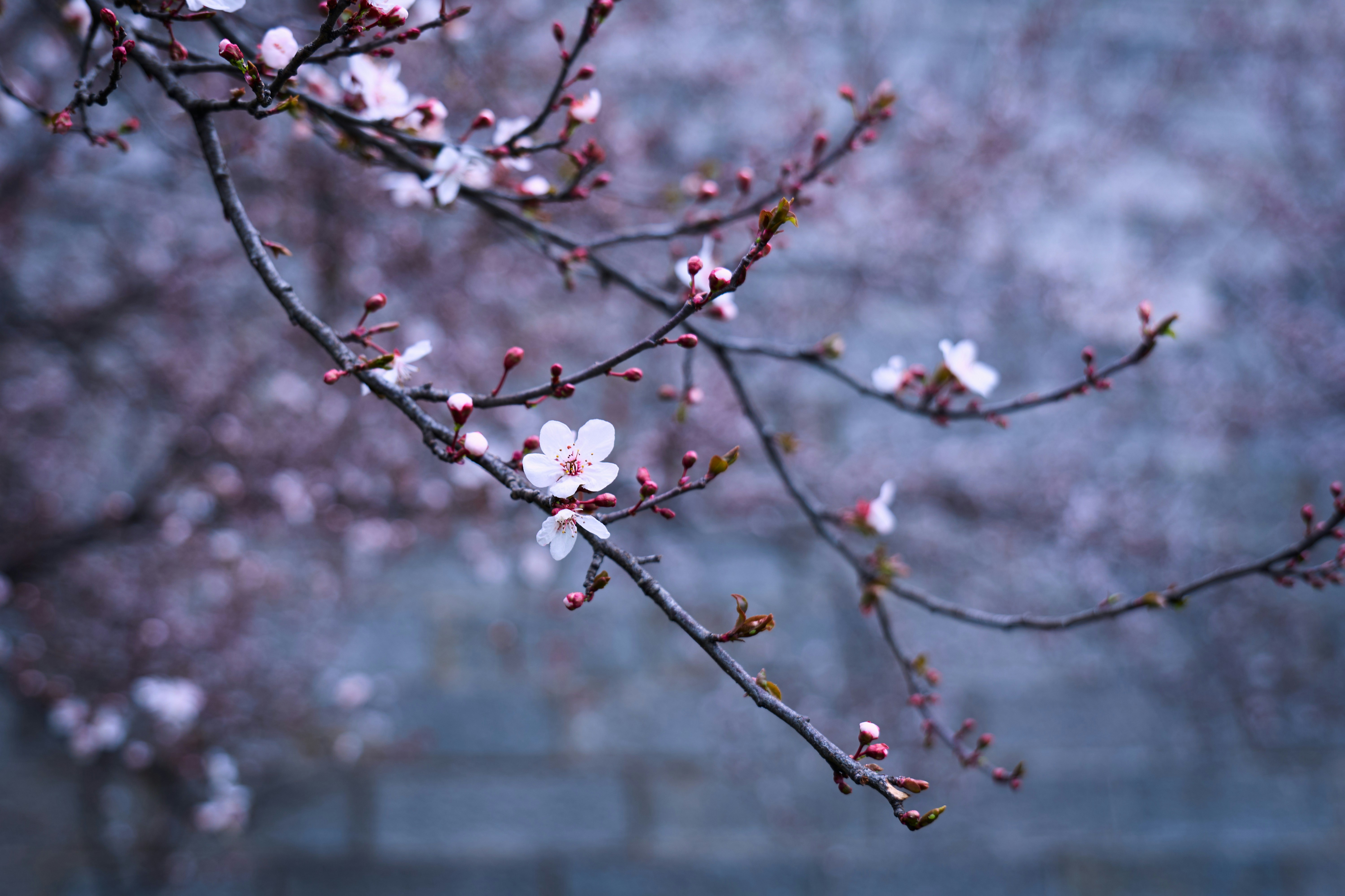 Photo by aasing_gwok