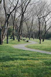 A winding pathway through a green park.