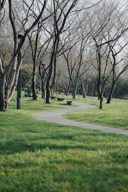 A winding pathway through a green park.