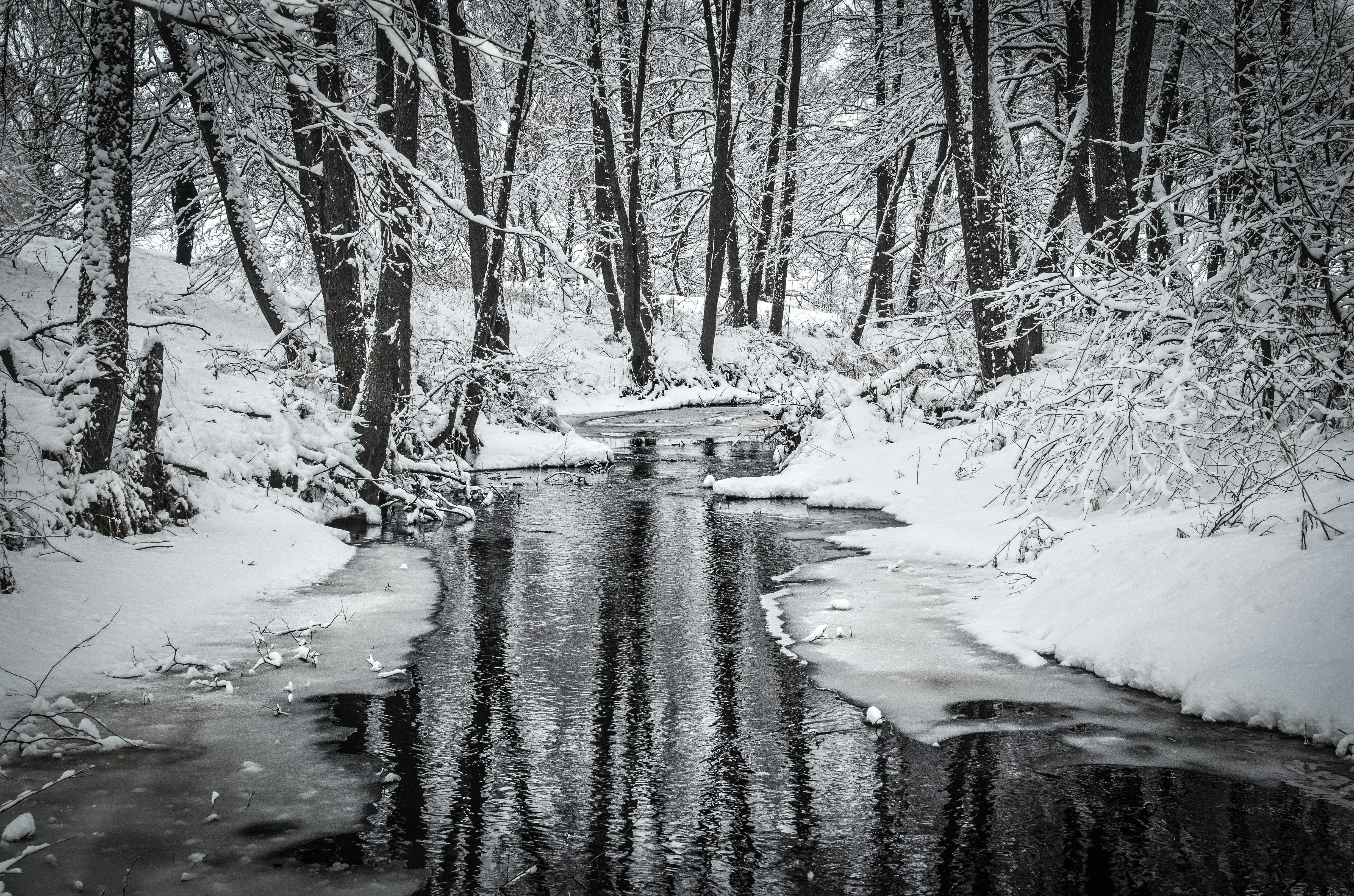 Photo by andrilliardbond