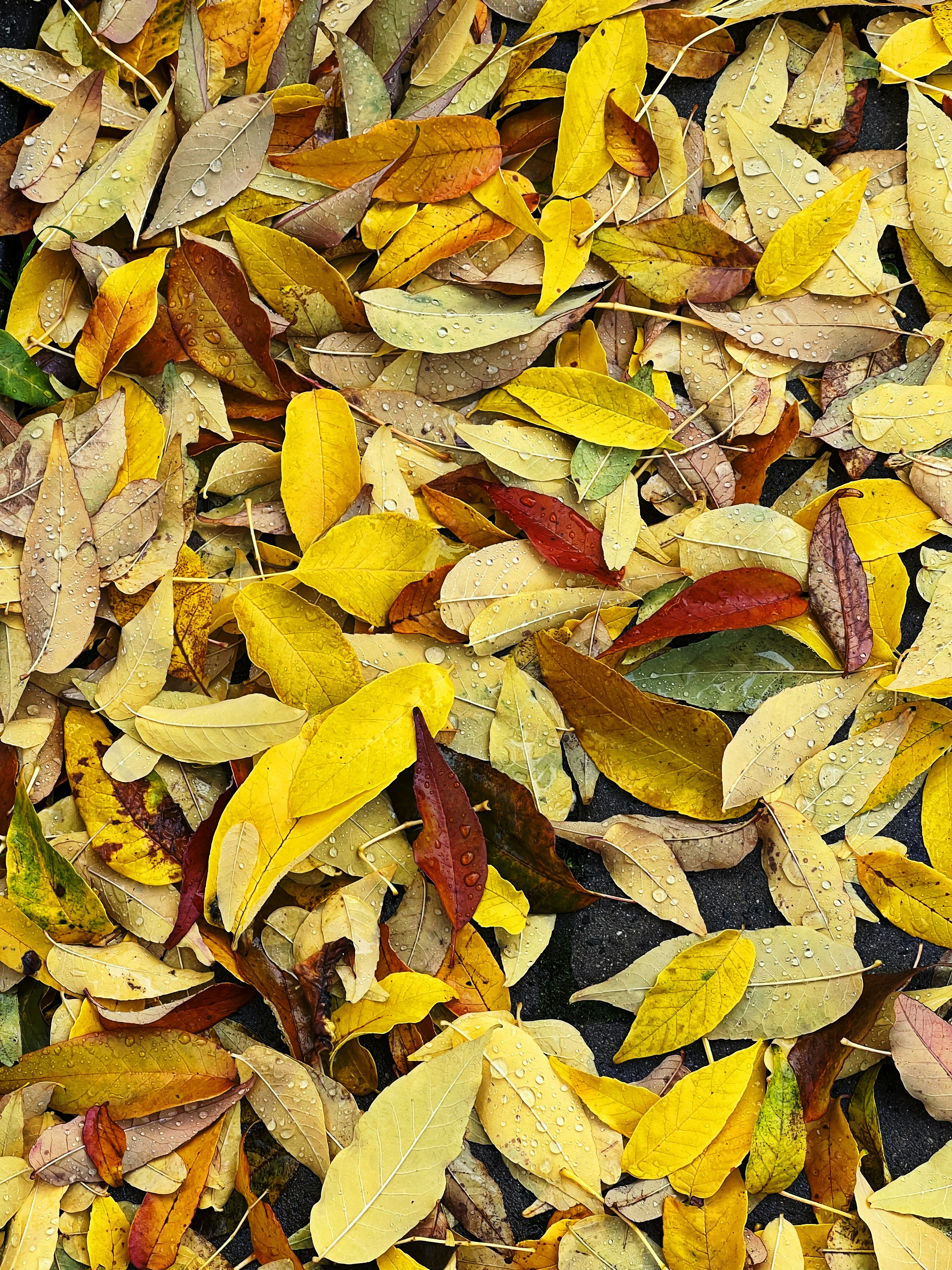 Photo by shaimaaasami