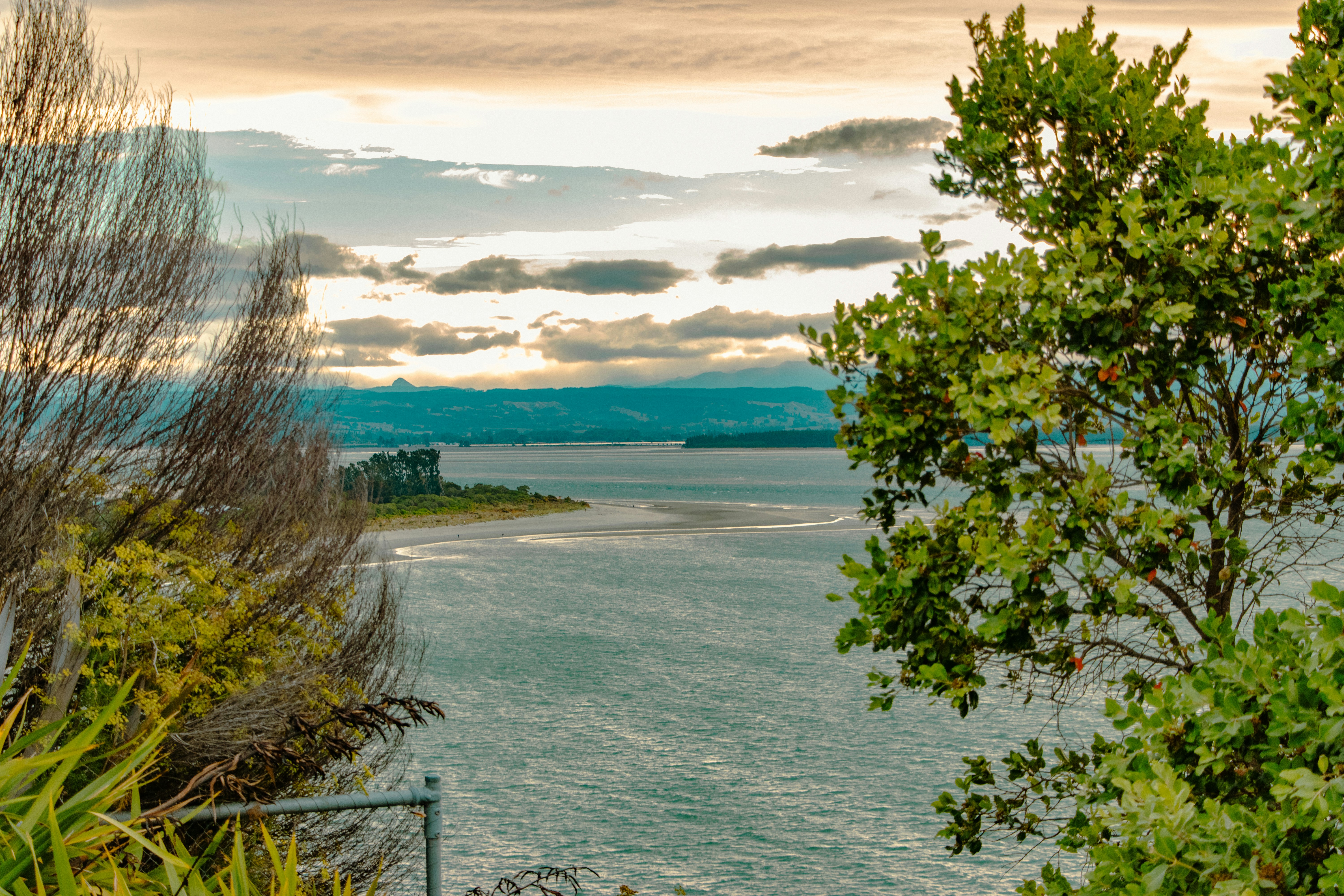 nelson, new zealand image