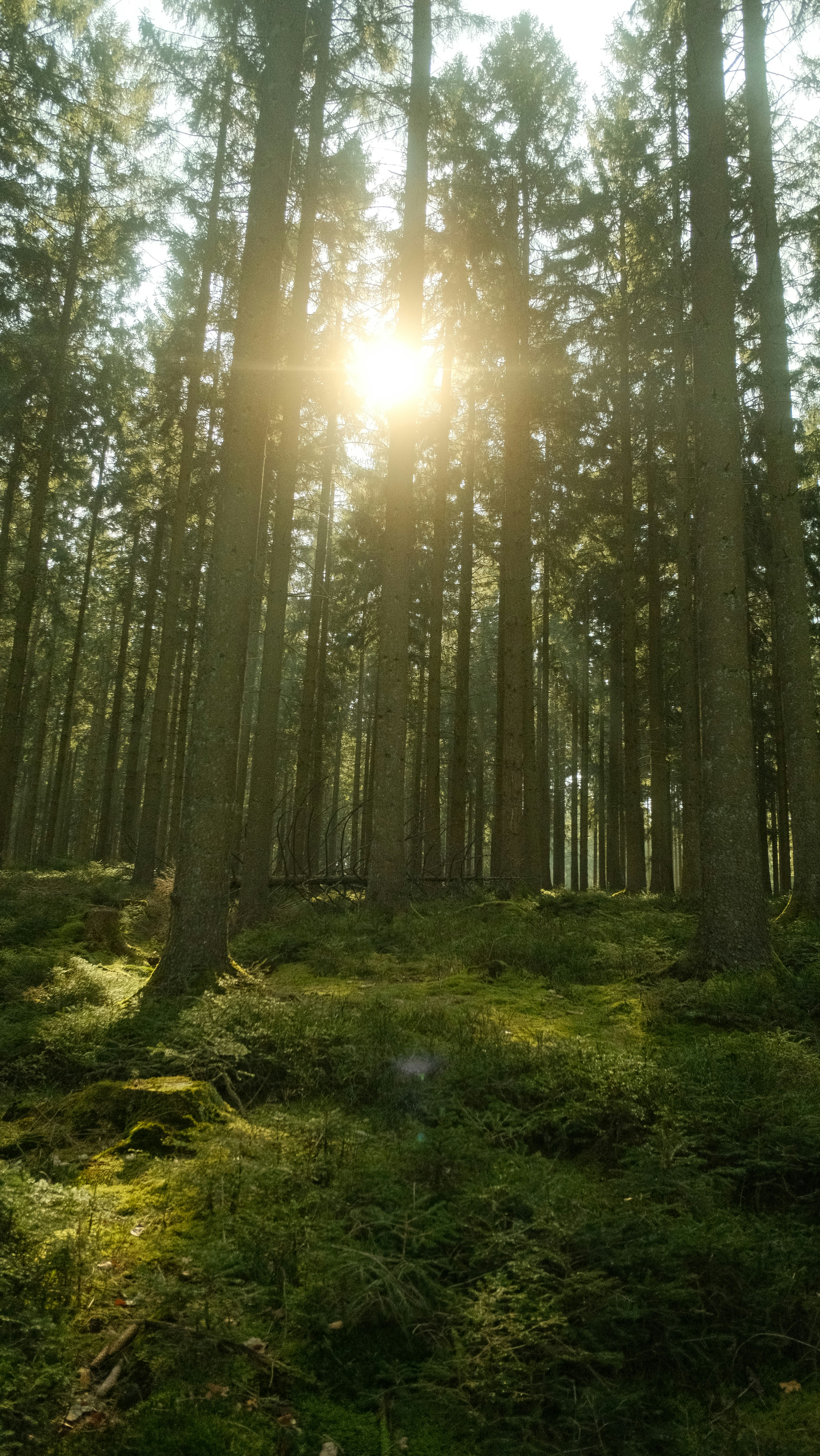 Photo by joraymaekers