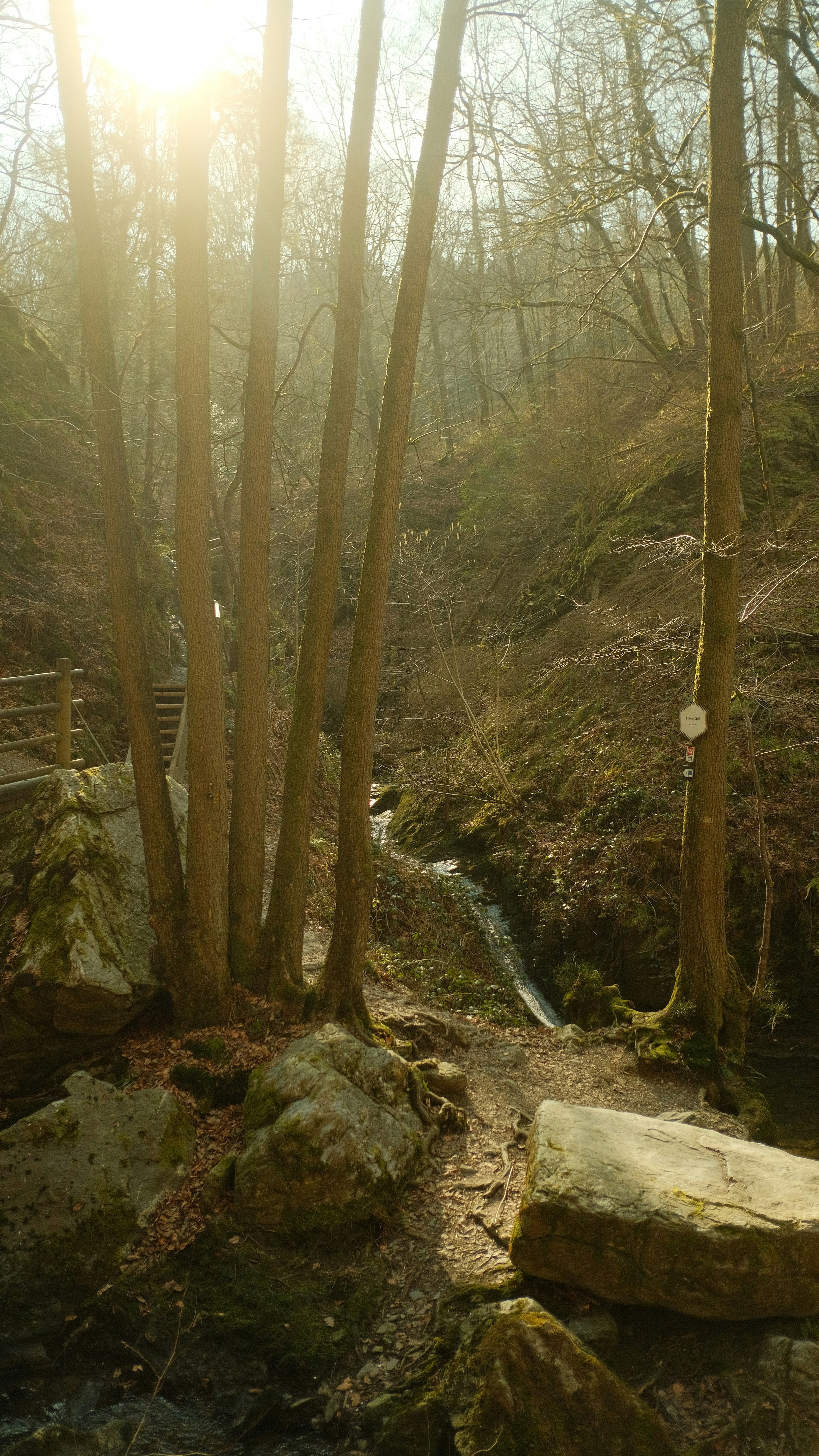 Photo by joraymaekers