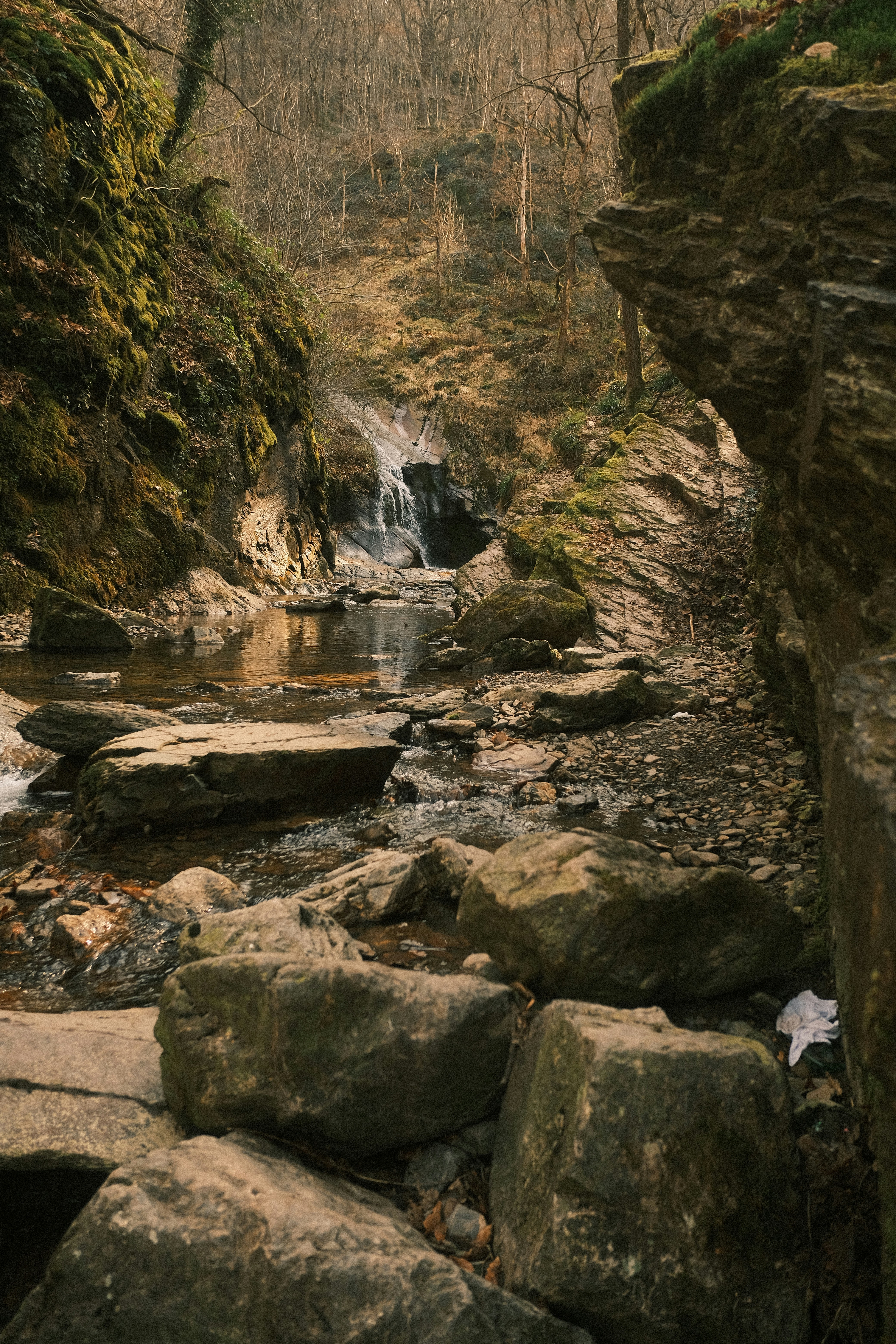 Photo by joraymaekers