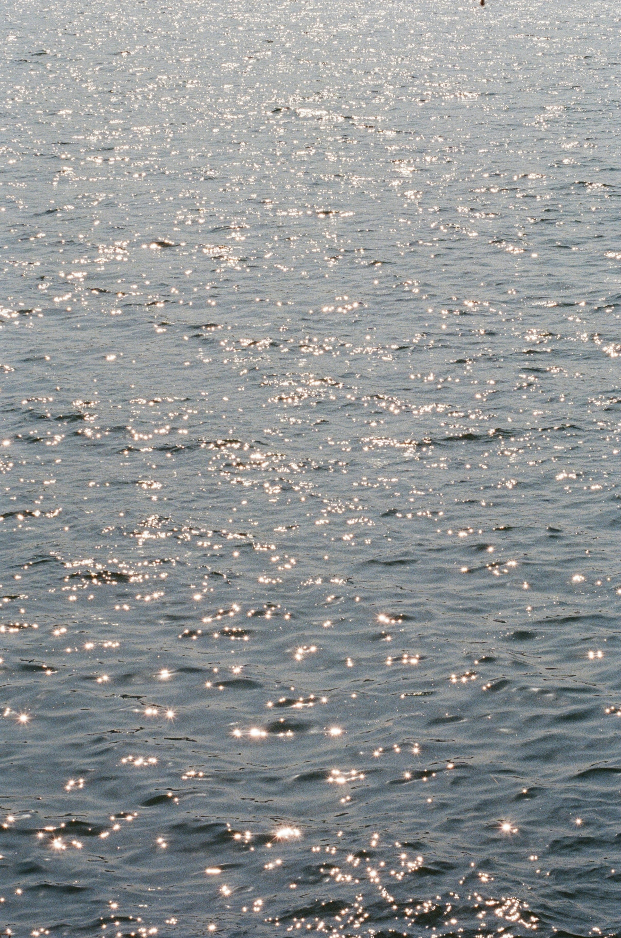 Photo by offtoseetheworld