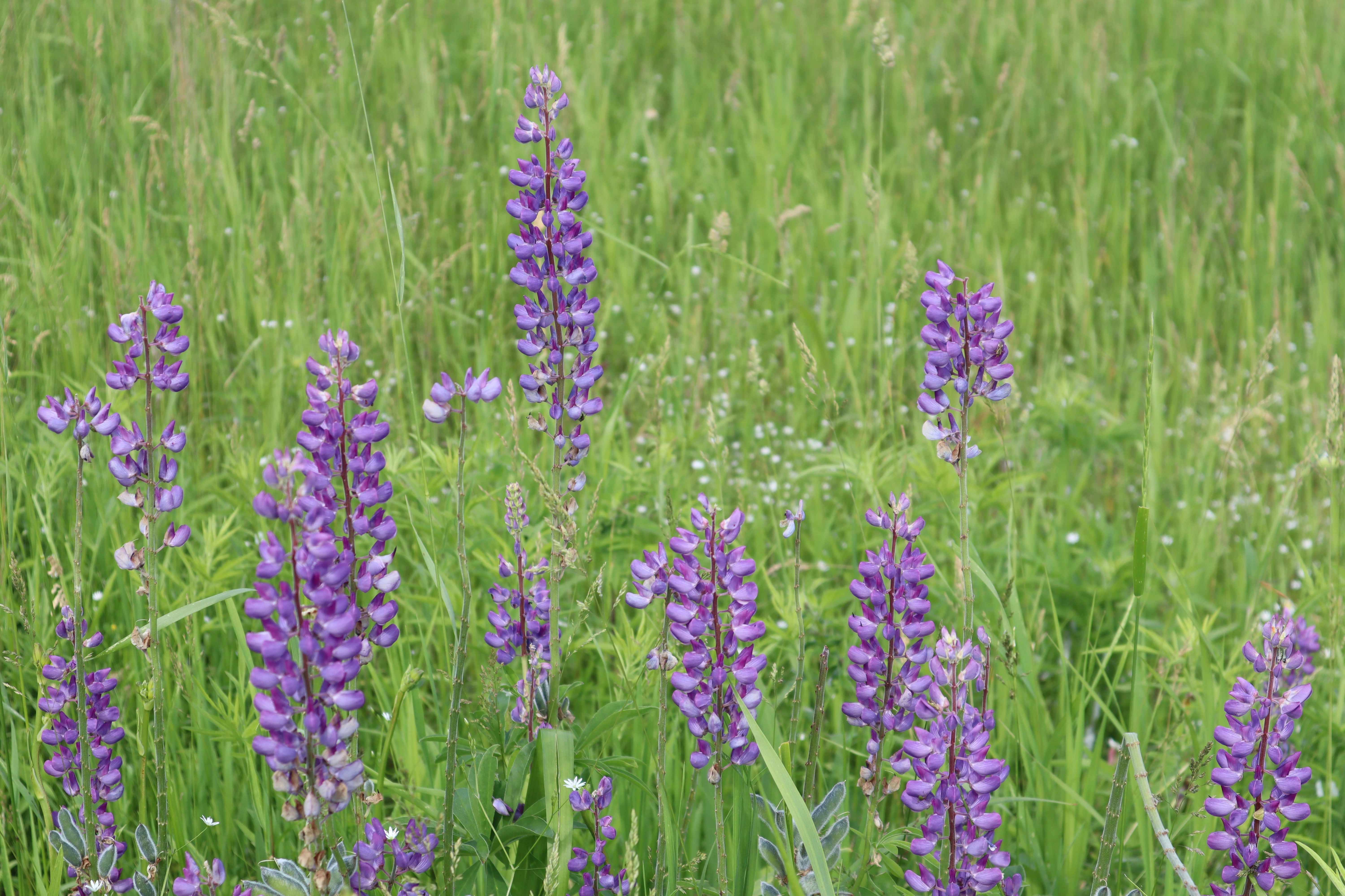 Photo by wisconsinpictures