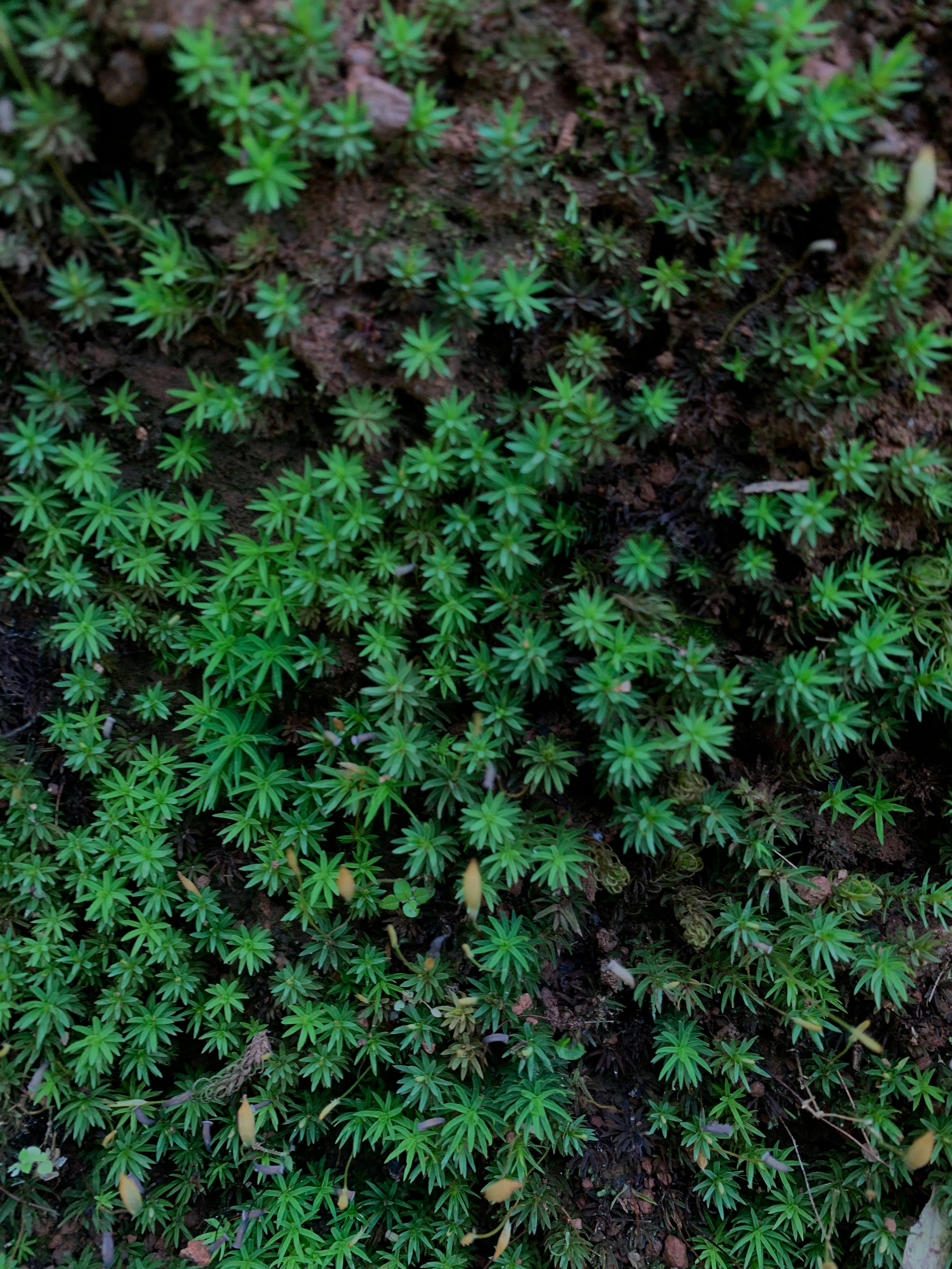 Photo by trollmemeryt