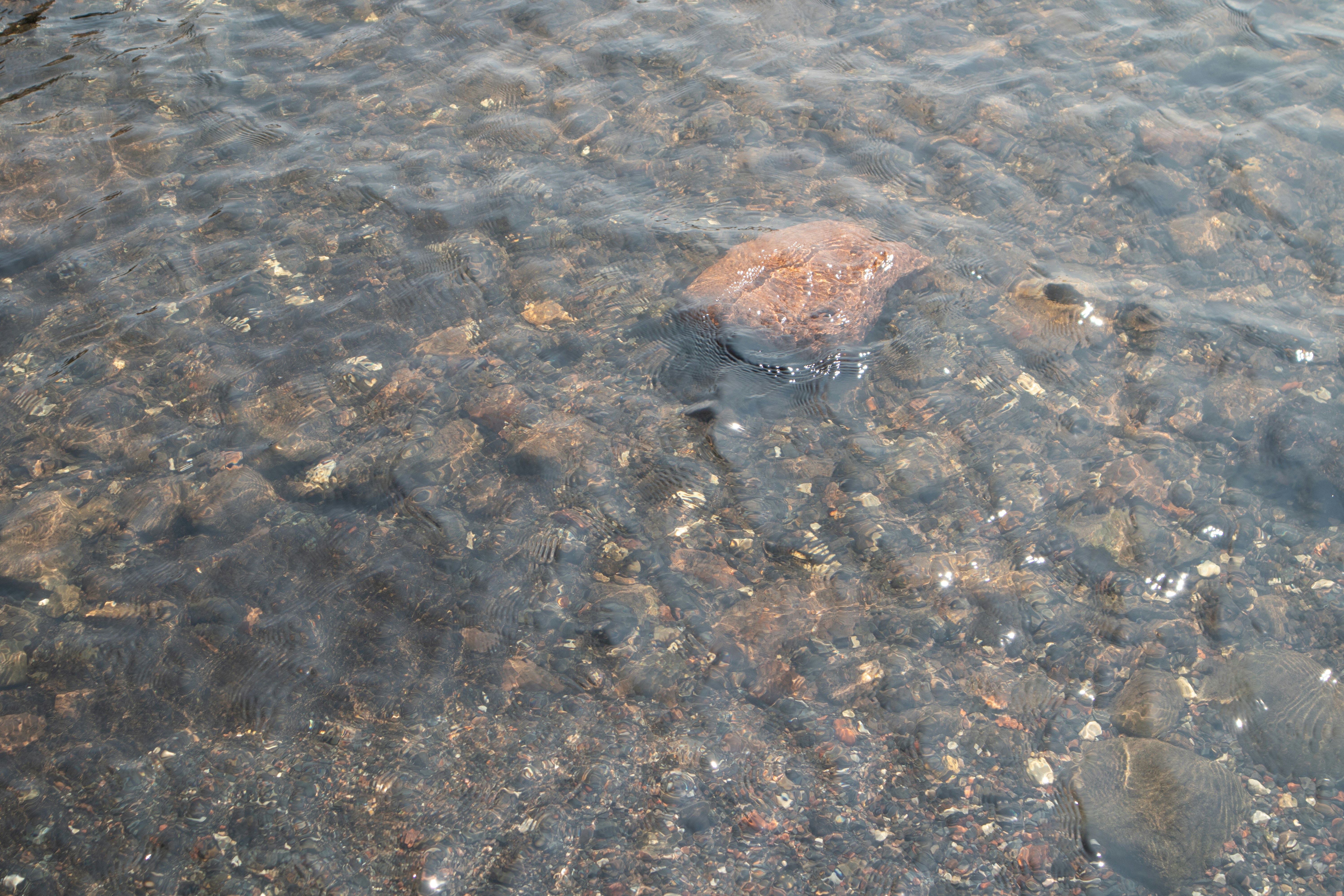 Photo by wisconsinpictures