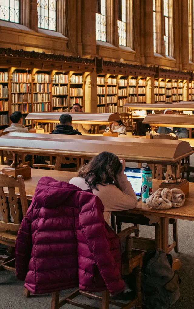 Denmark Study Visa Guidefor Pakistani Students: Requirements, Costs & Work Options