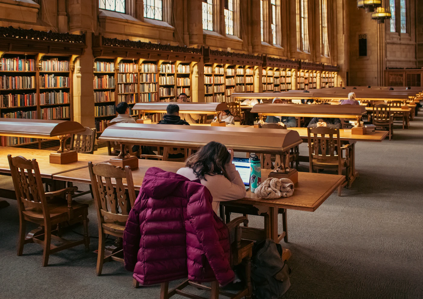 A student studying with a laptop in a university library