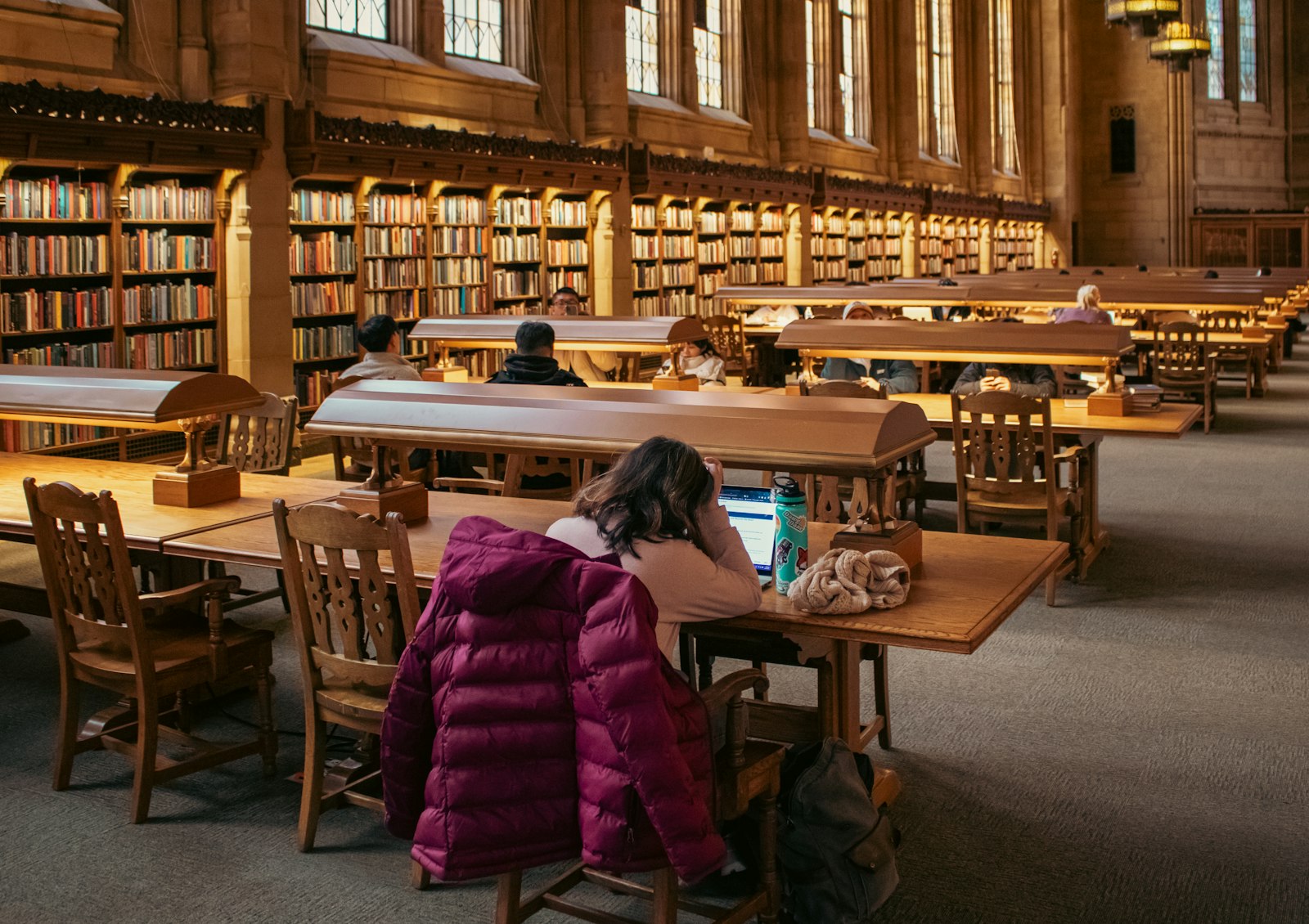Students studying at long reading tables in a university library