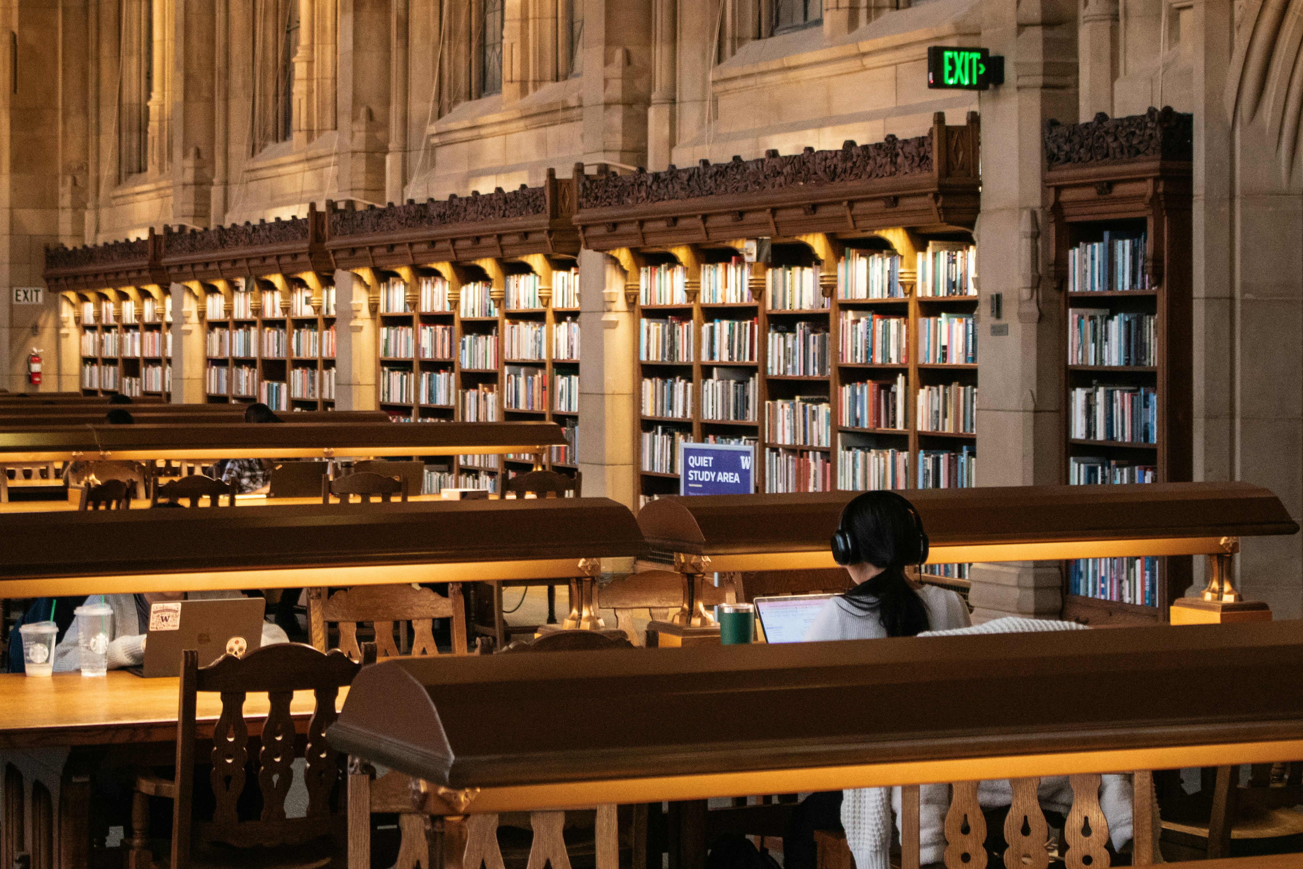A person reads in a beautiful, old library.