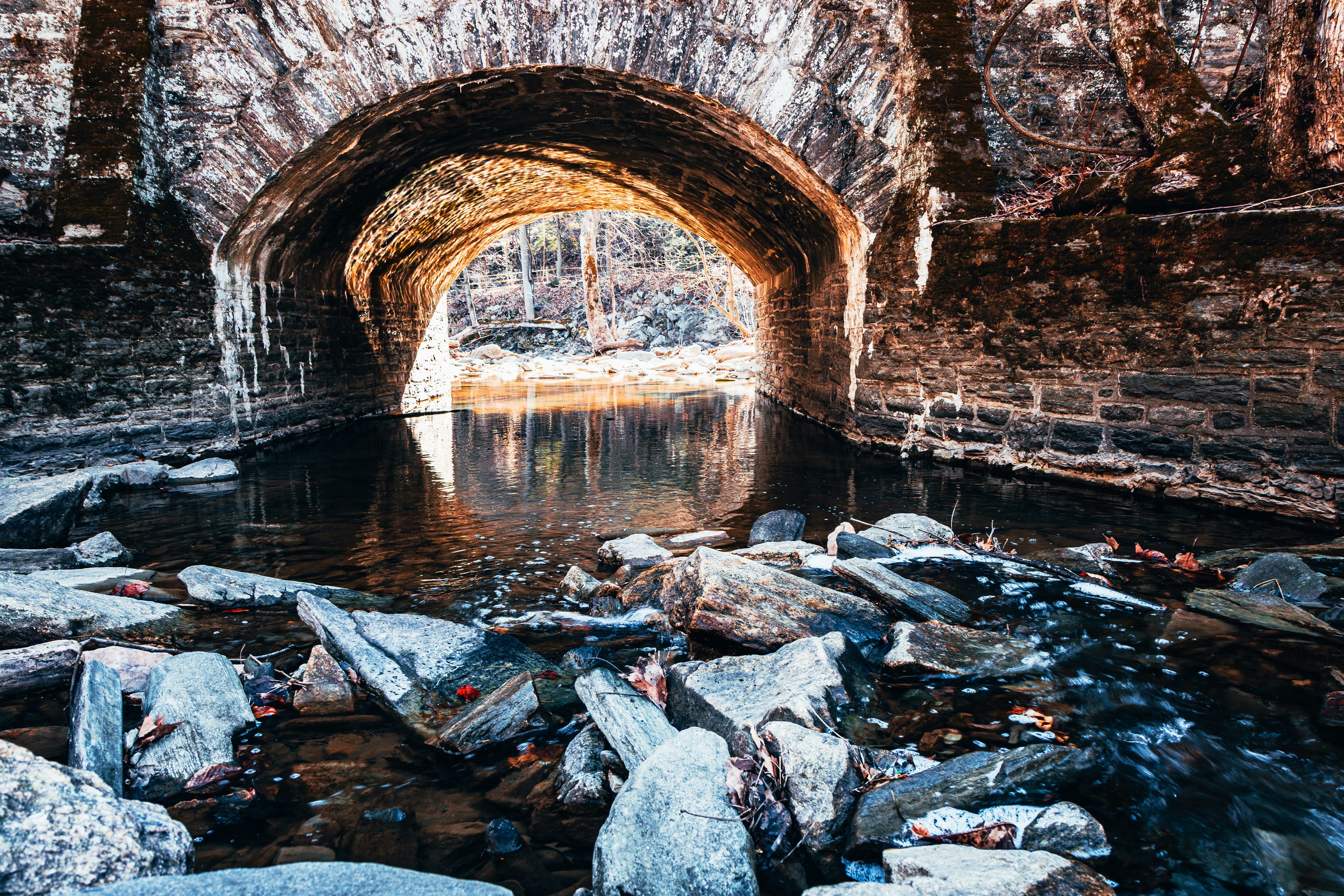 Photo by brice_cooper18