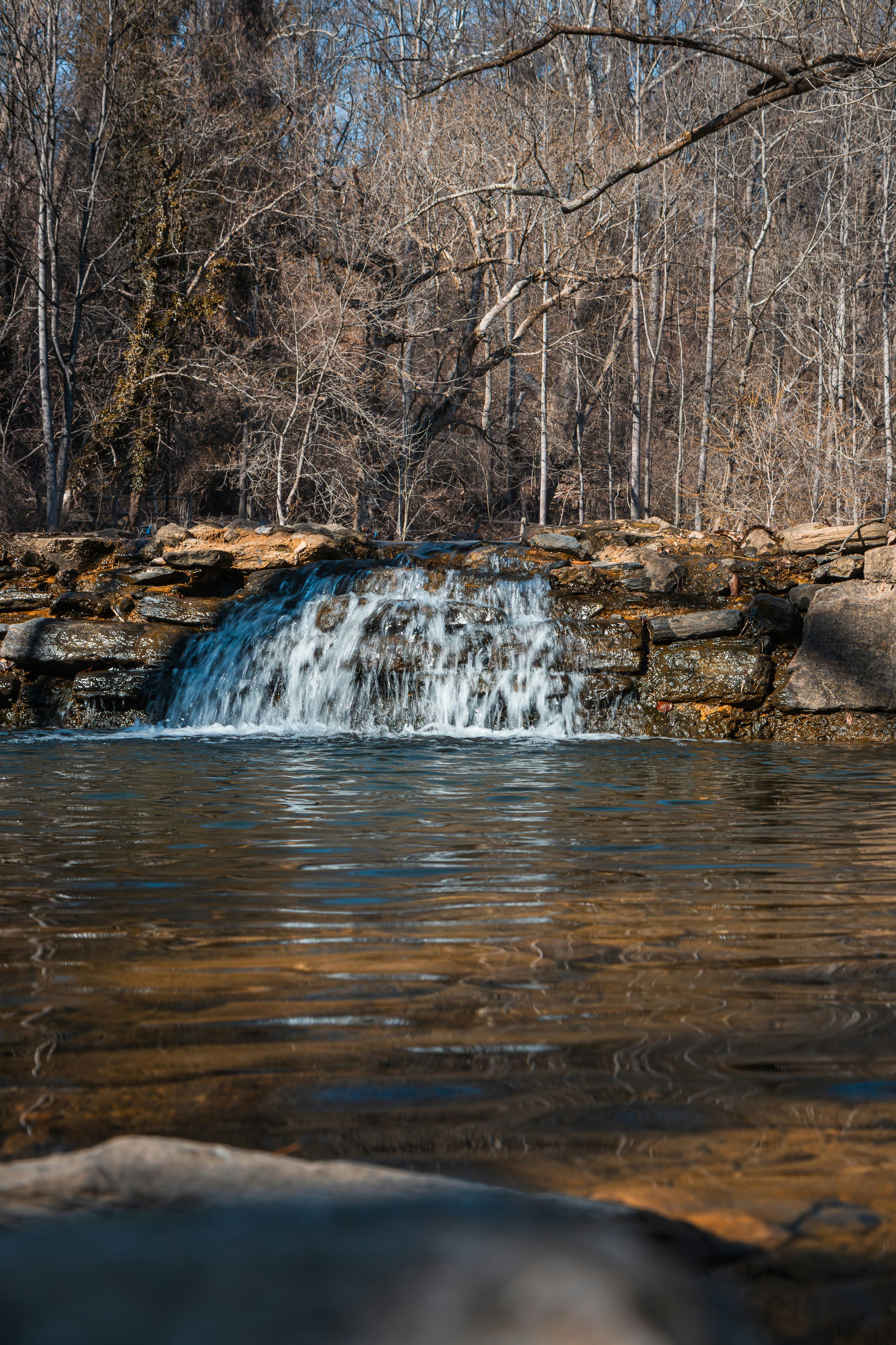 Photo by brice_cooper18