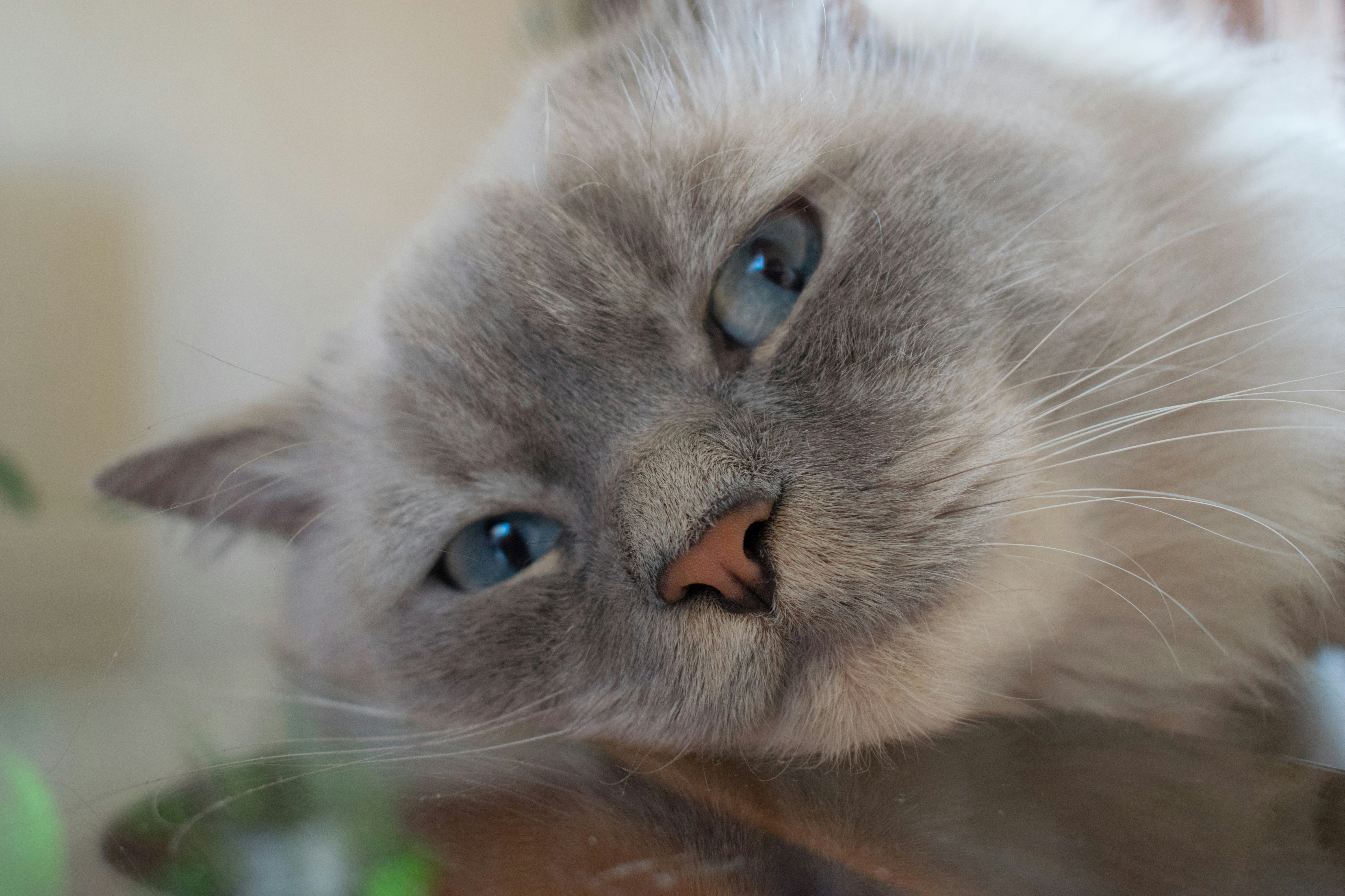 Photo by dimawinterson