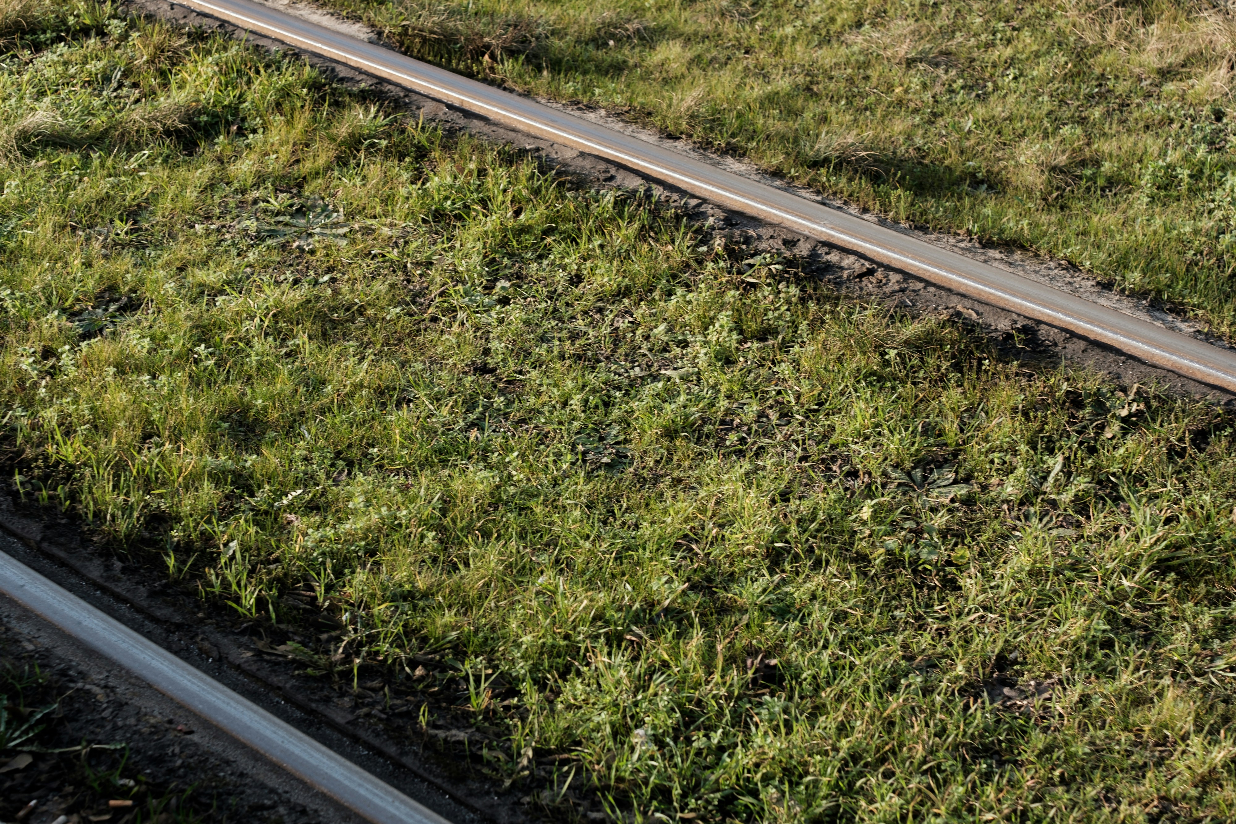 Photo by markuswinkler