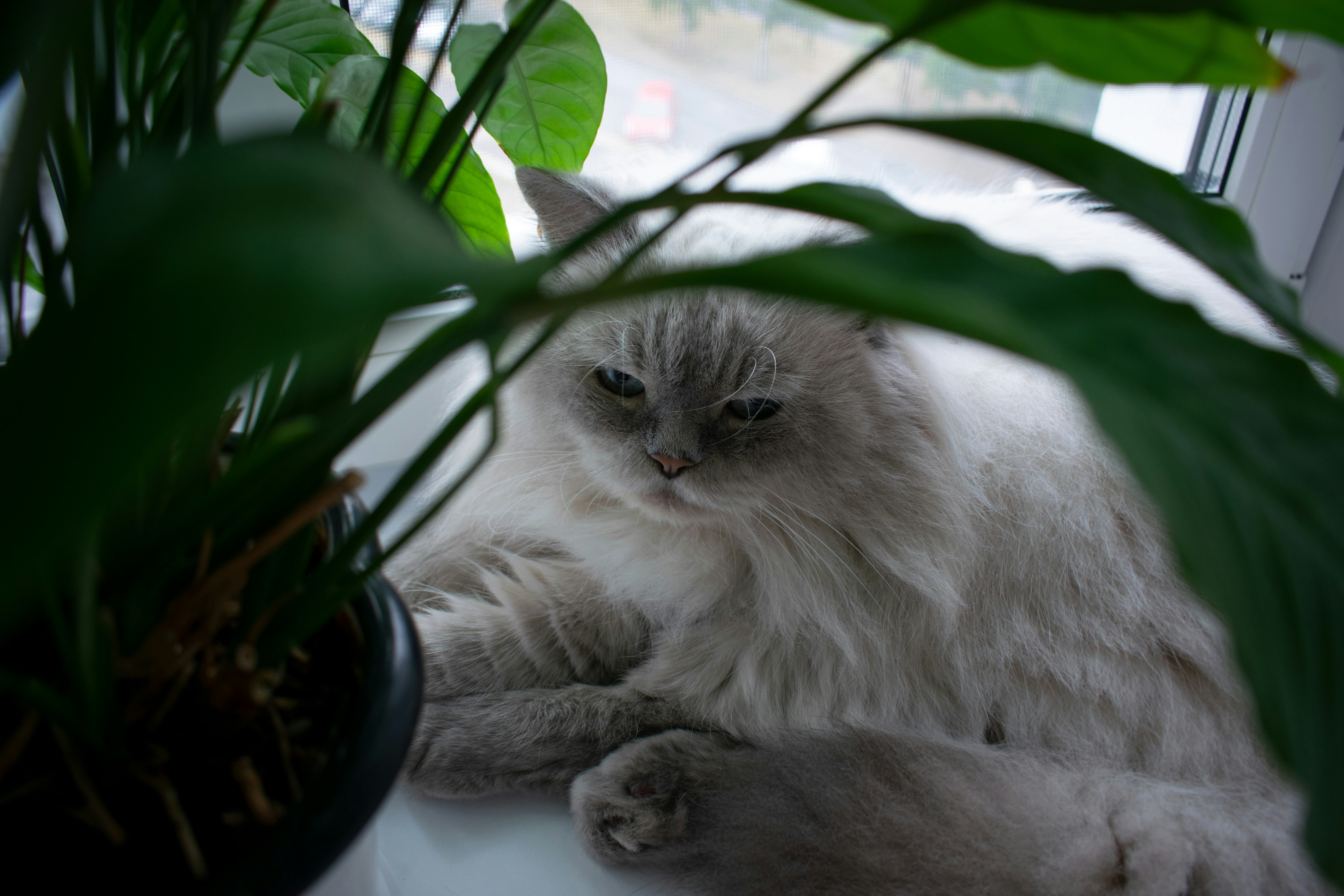 Use Strategic Positioning (image credits: unsplash)