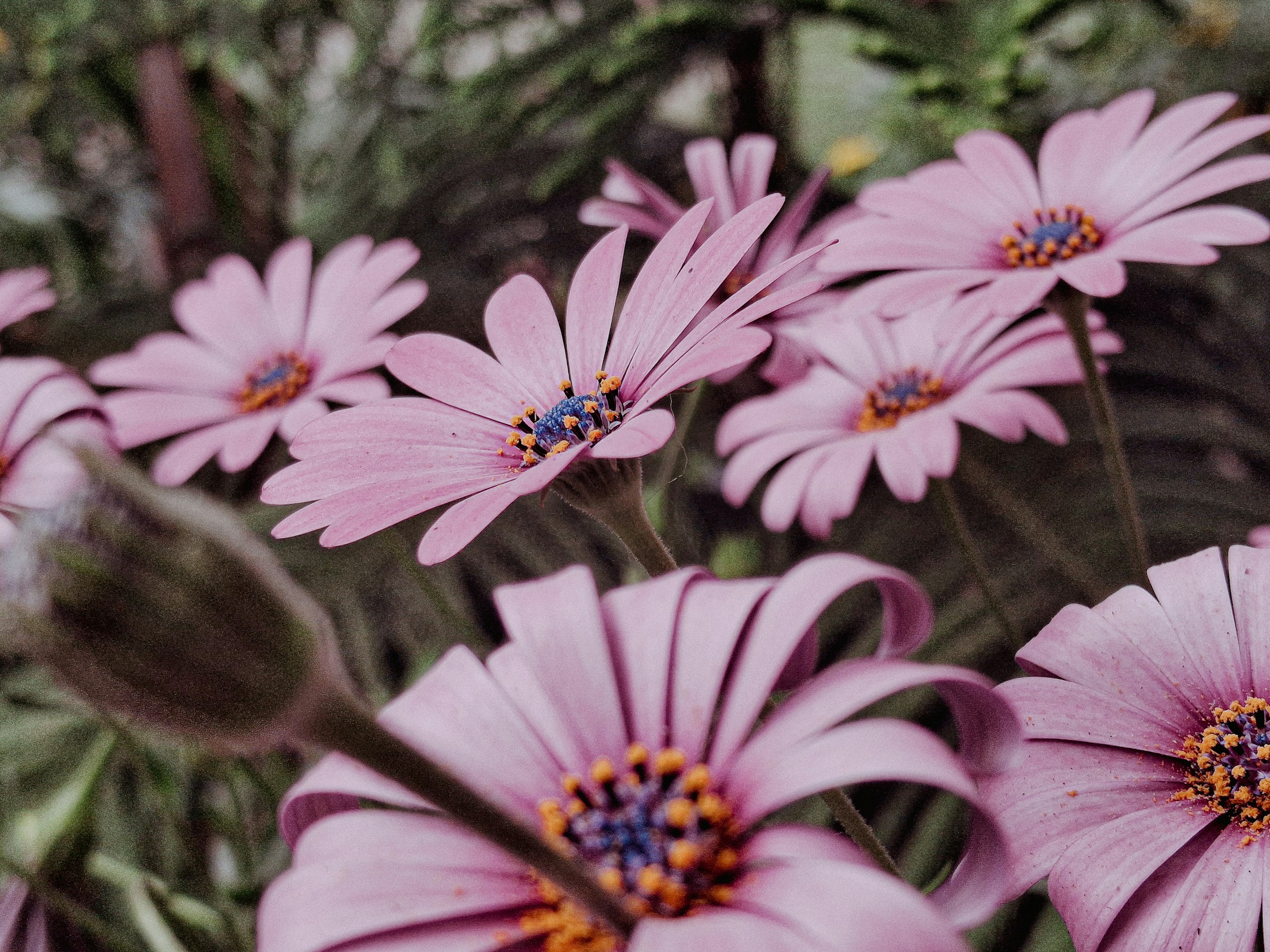 Photo by cinestellar_co