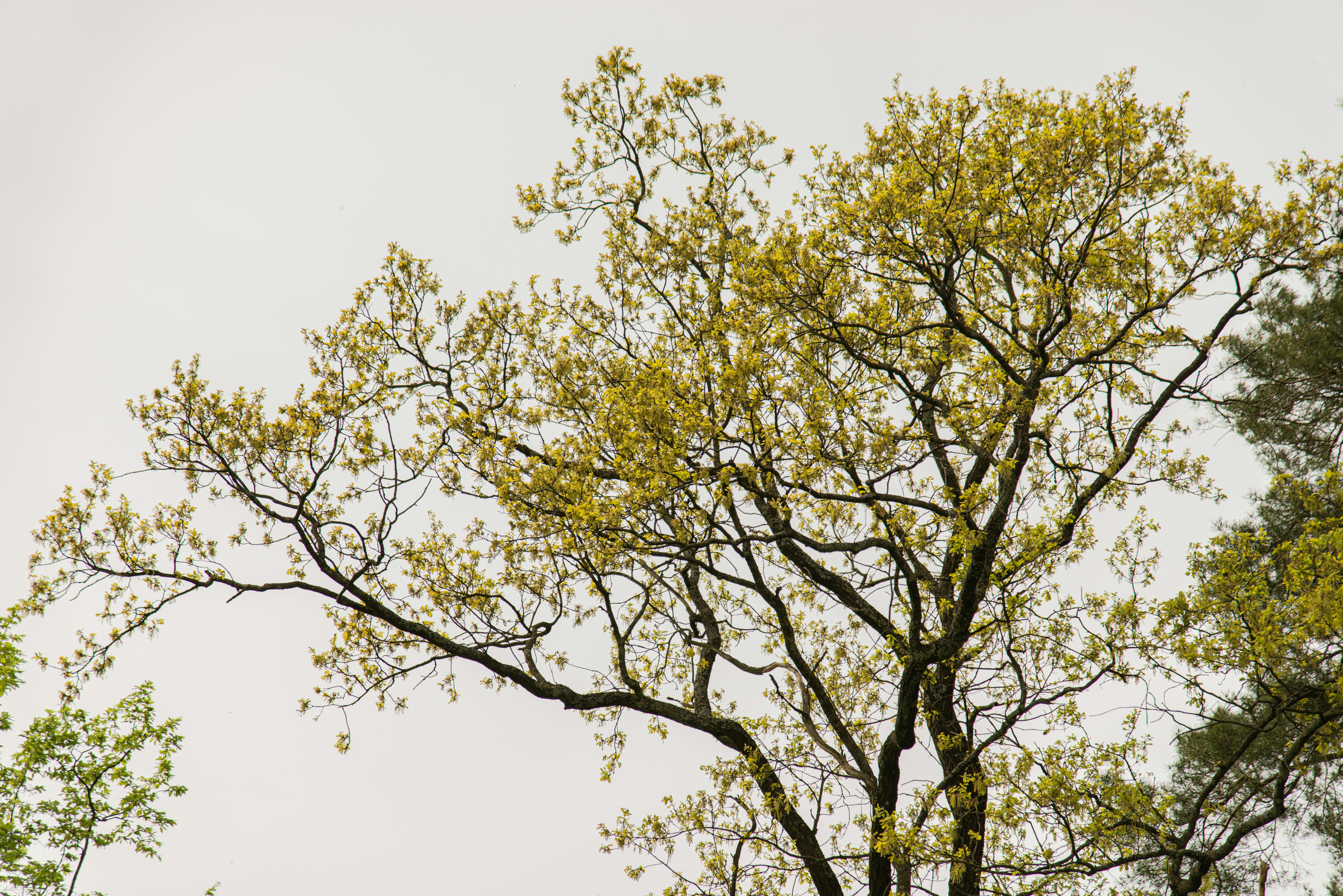 Photo by yaroslav_sliuz