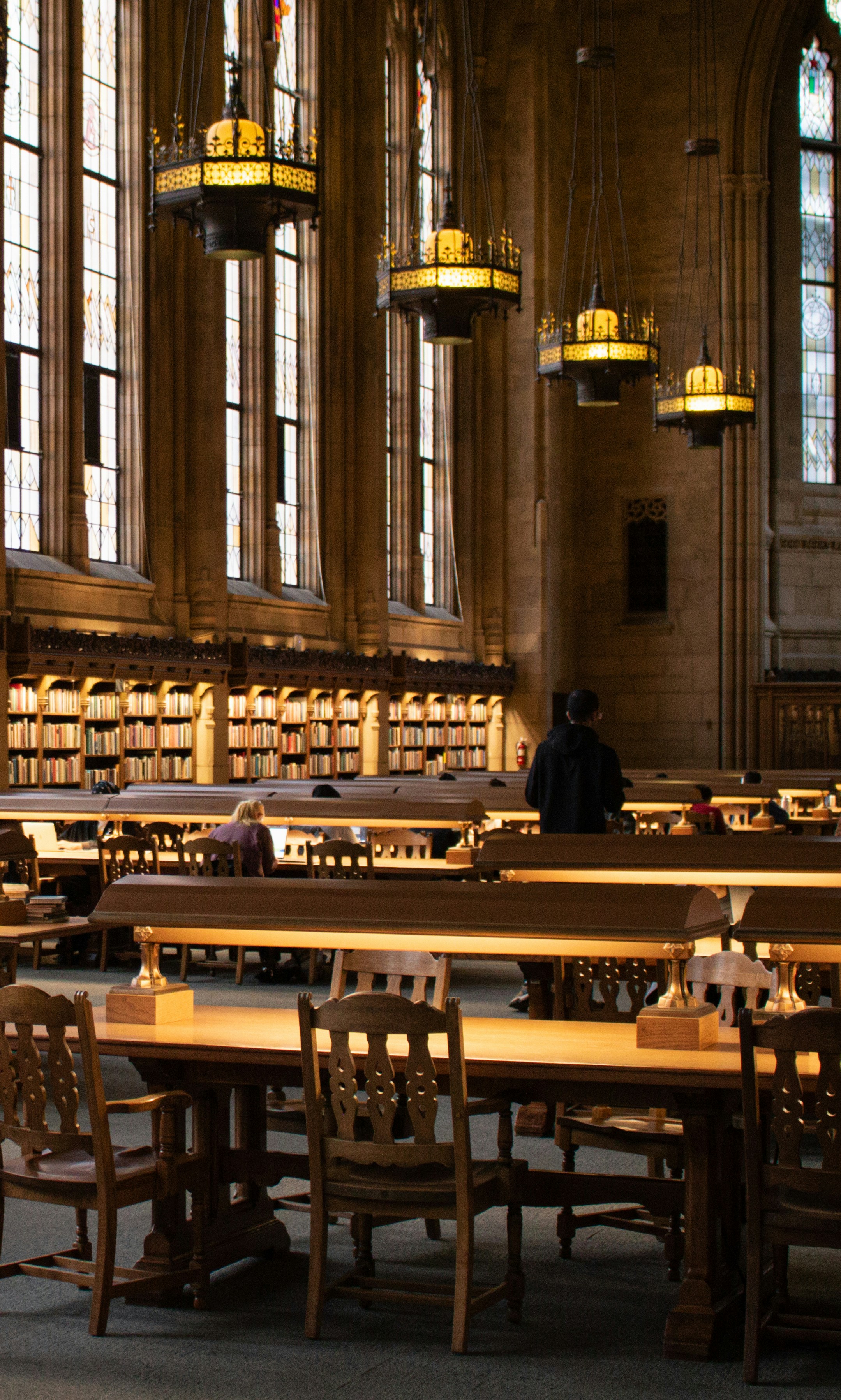 The most beautiful part of Powell': Students applaud reopened main reading  room - Daily Bruin, image size:3000x4995