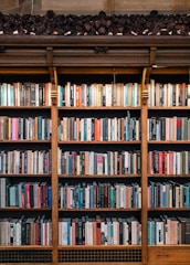 Books fill a large wooden bookshelf.