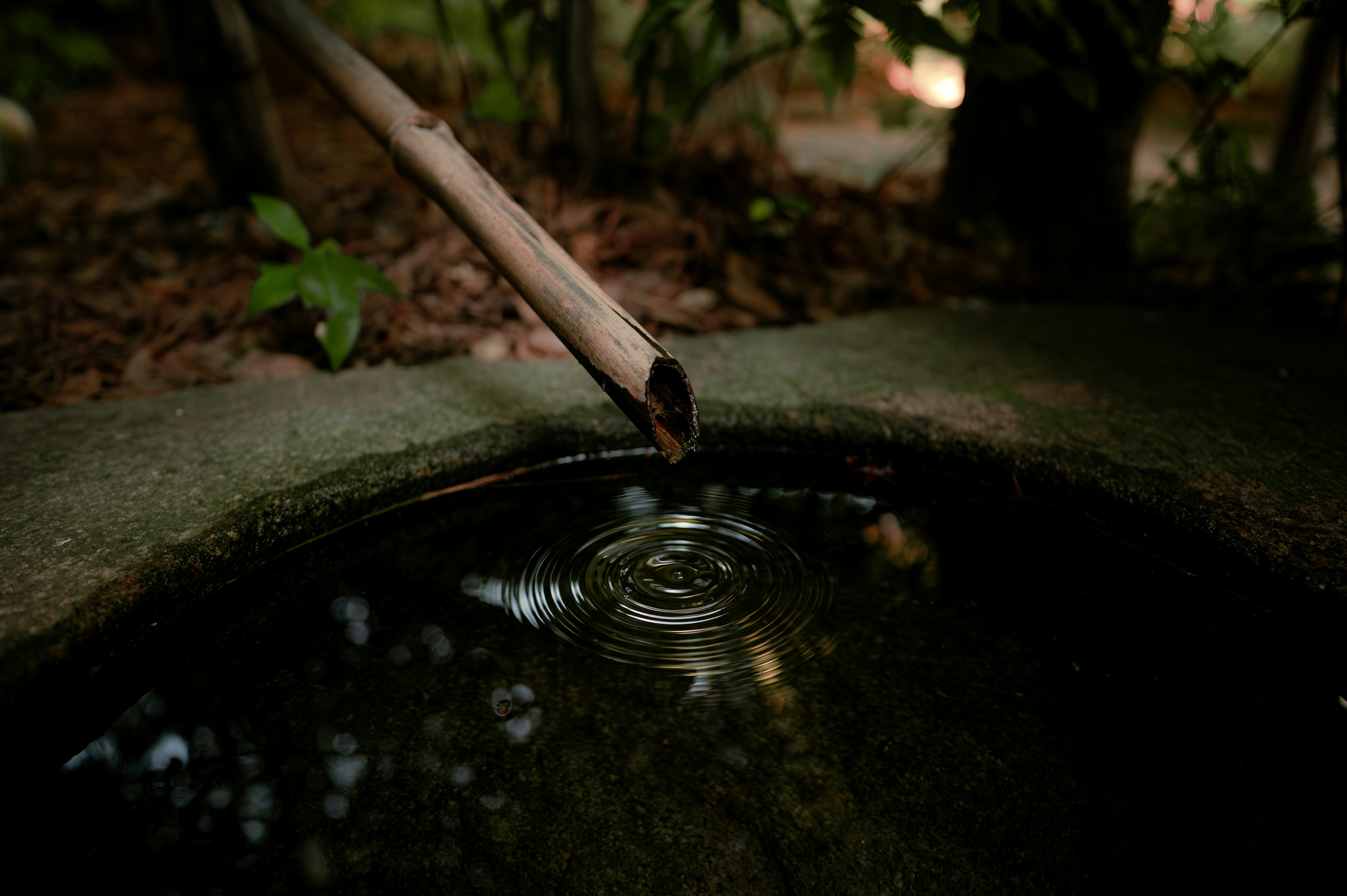 Photo by ryunosuke_kikuno