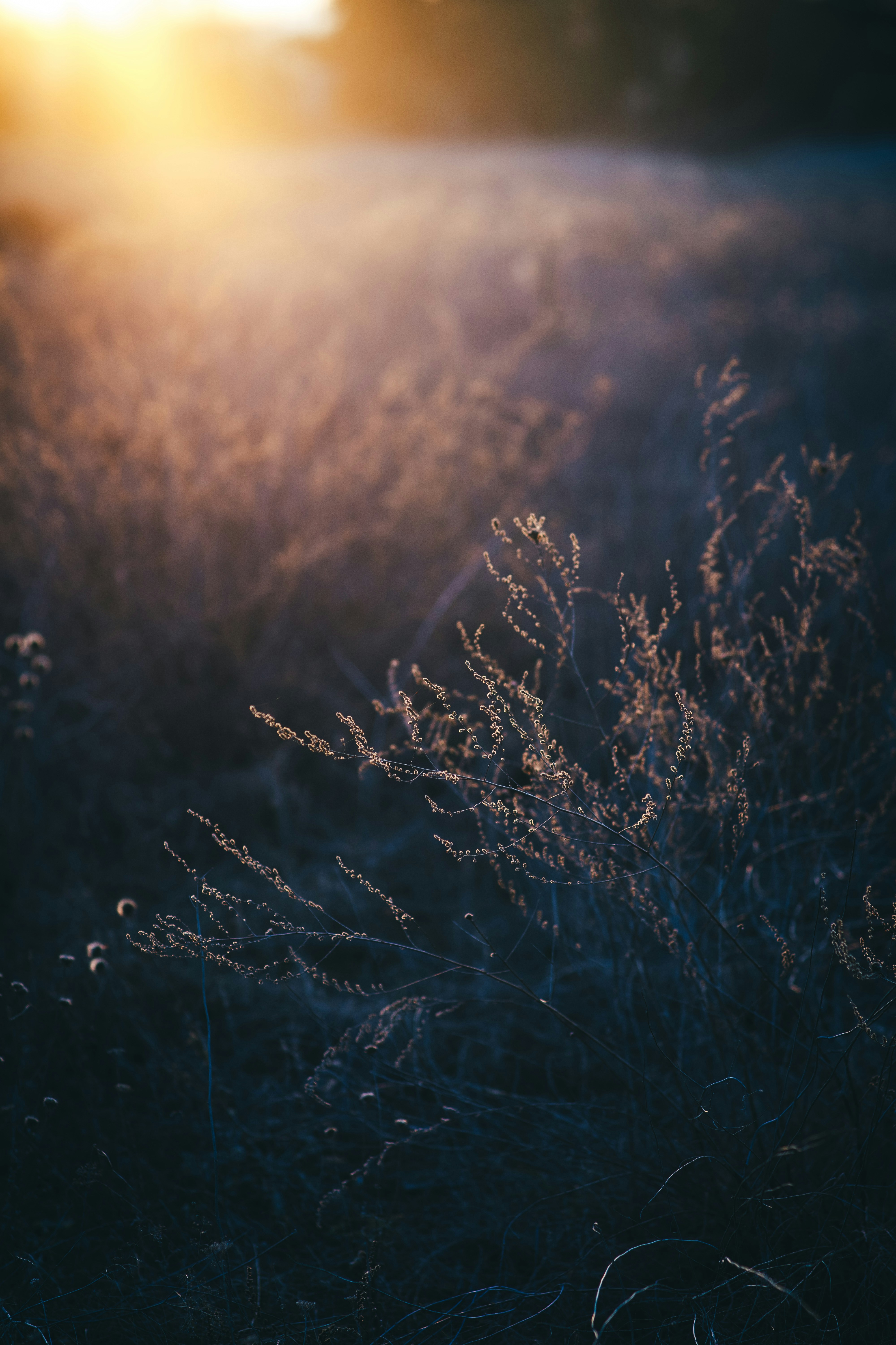 Photo by onmywayhome