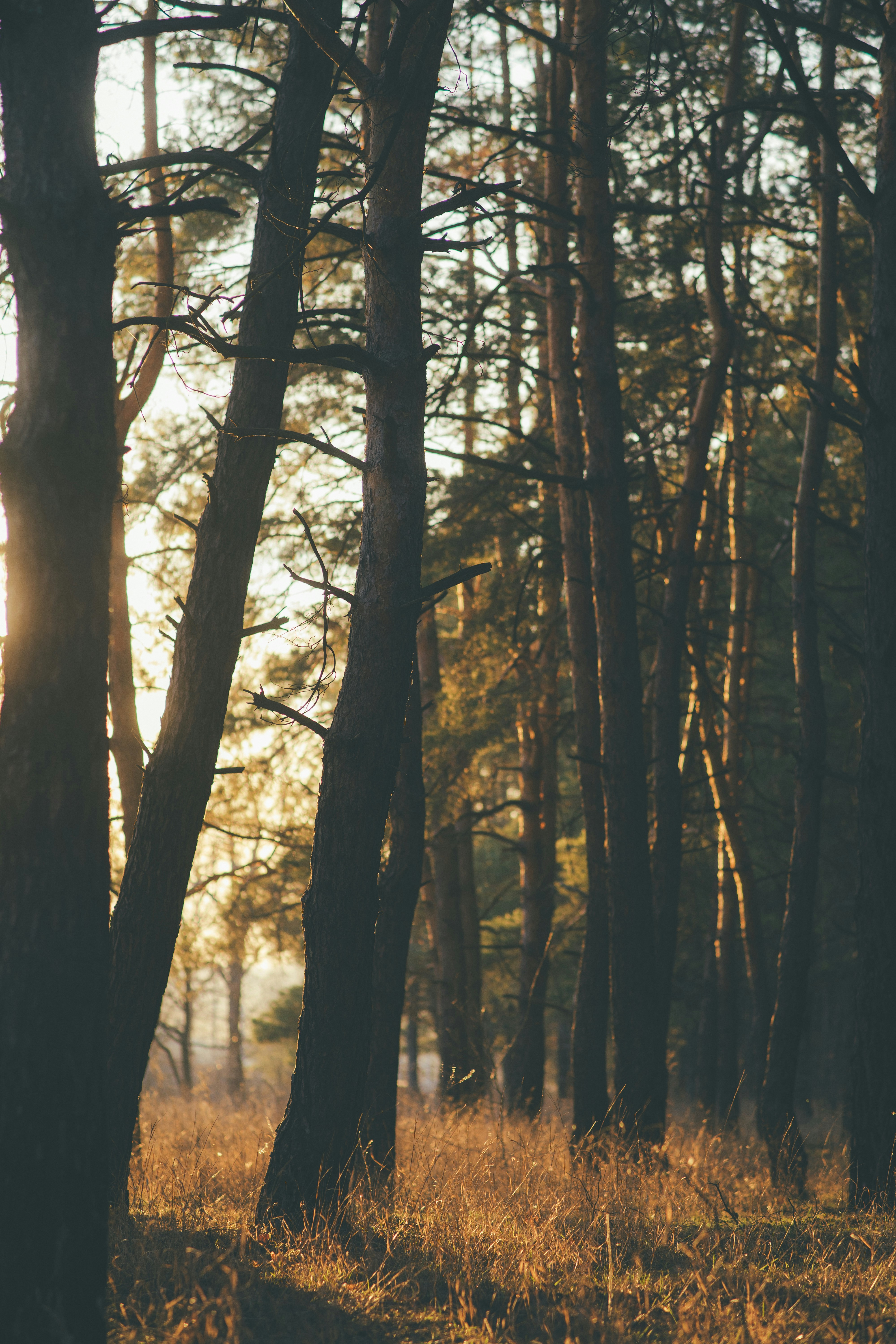 Photo by onmywayhome