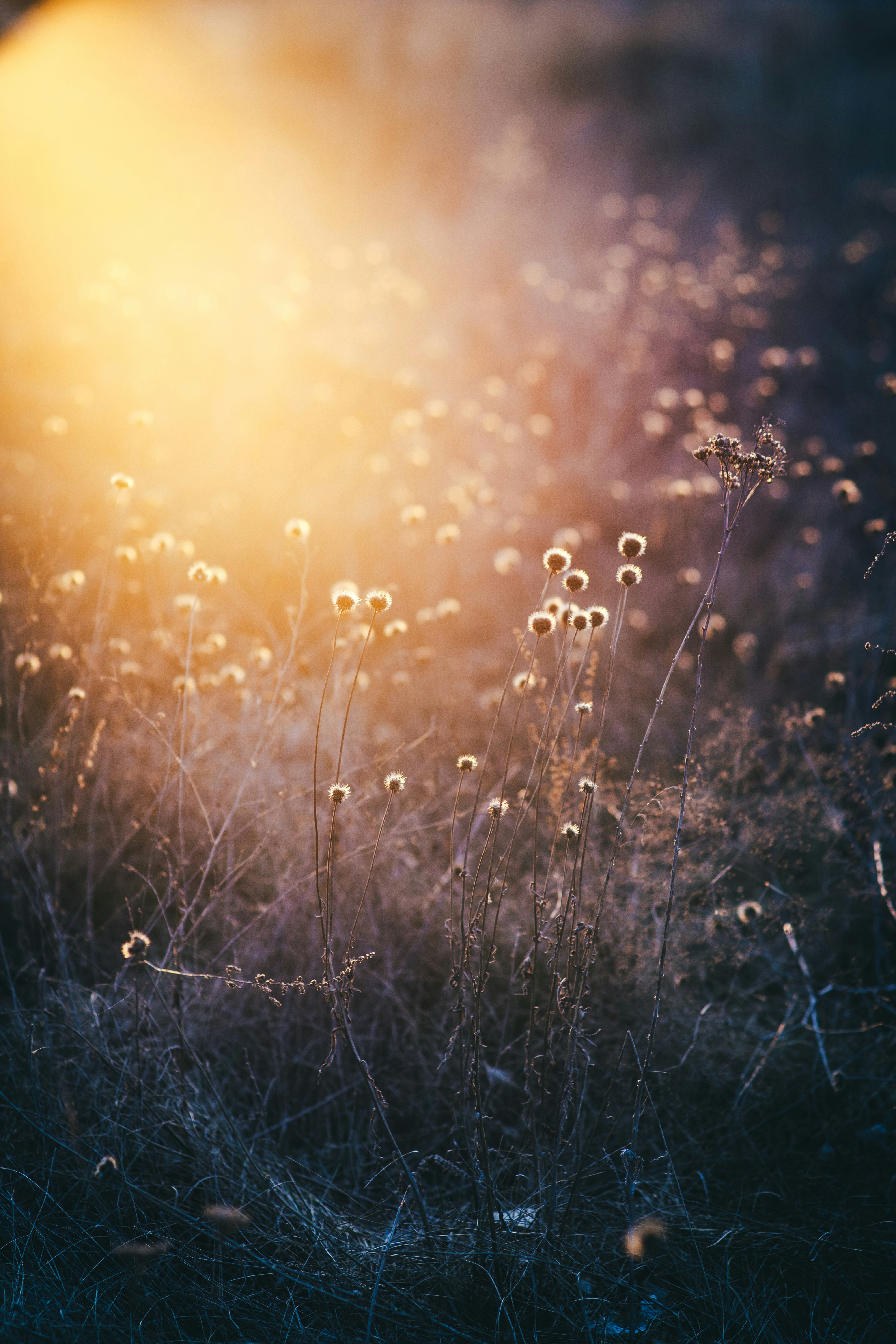 Photo by onmywayhome