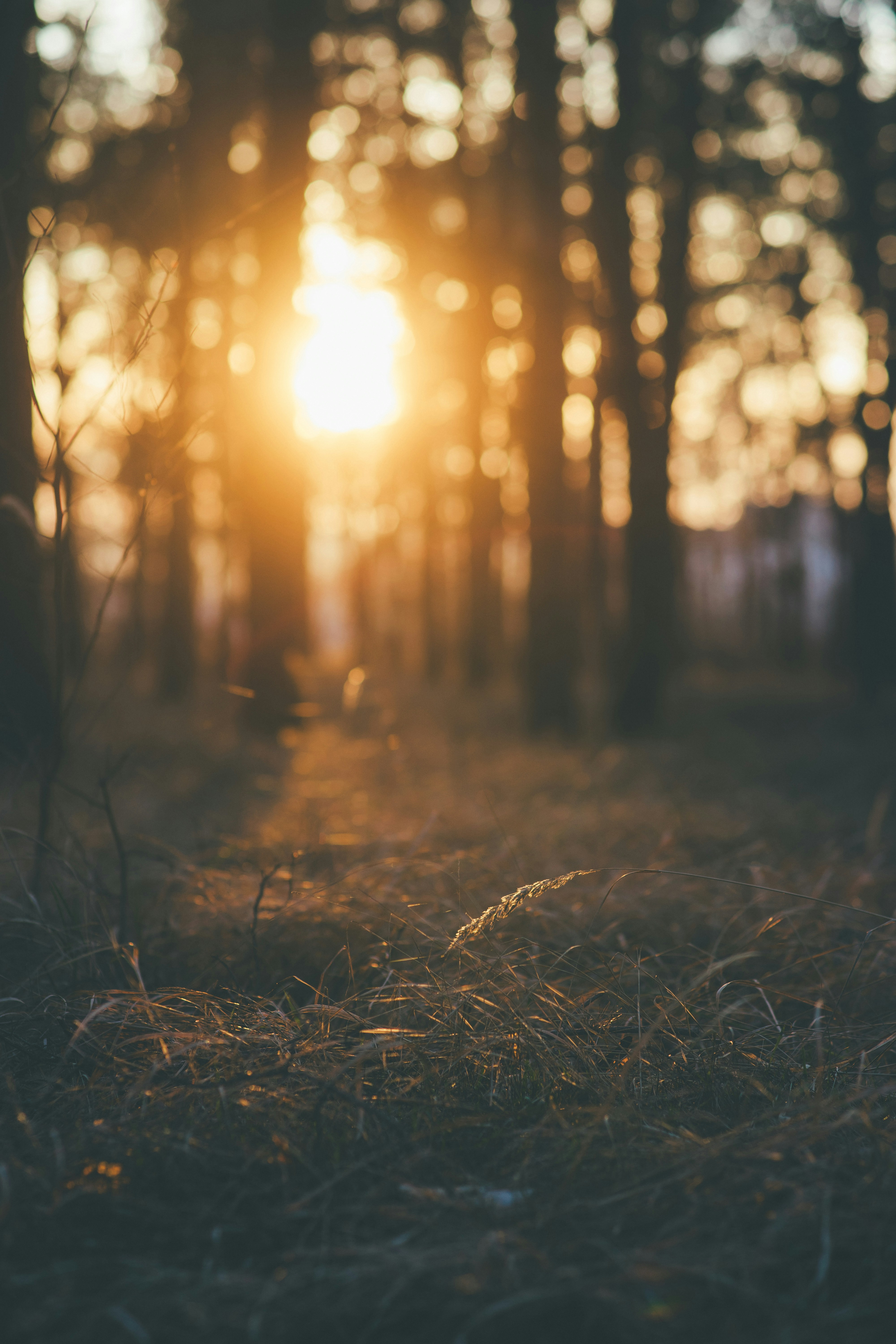 Photo by onmywayhome