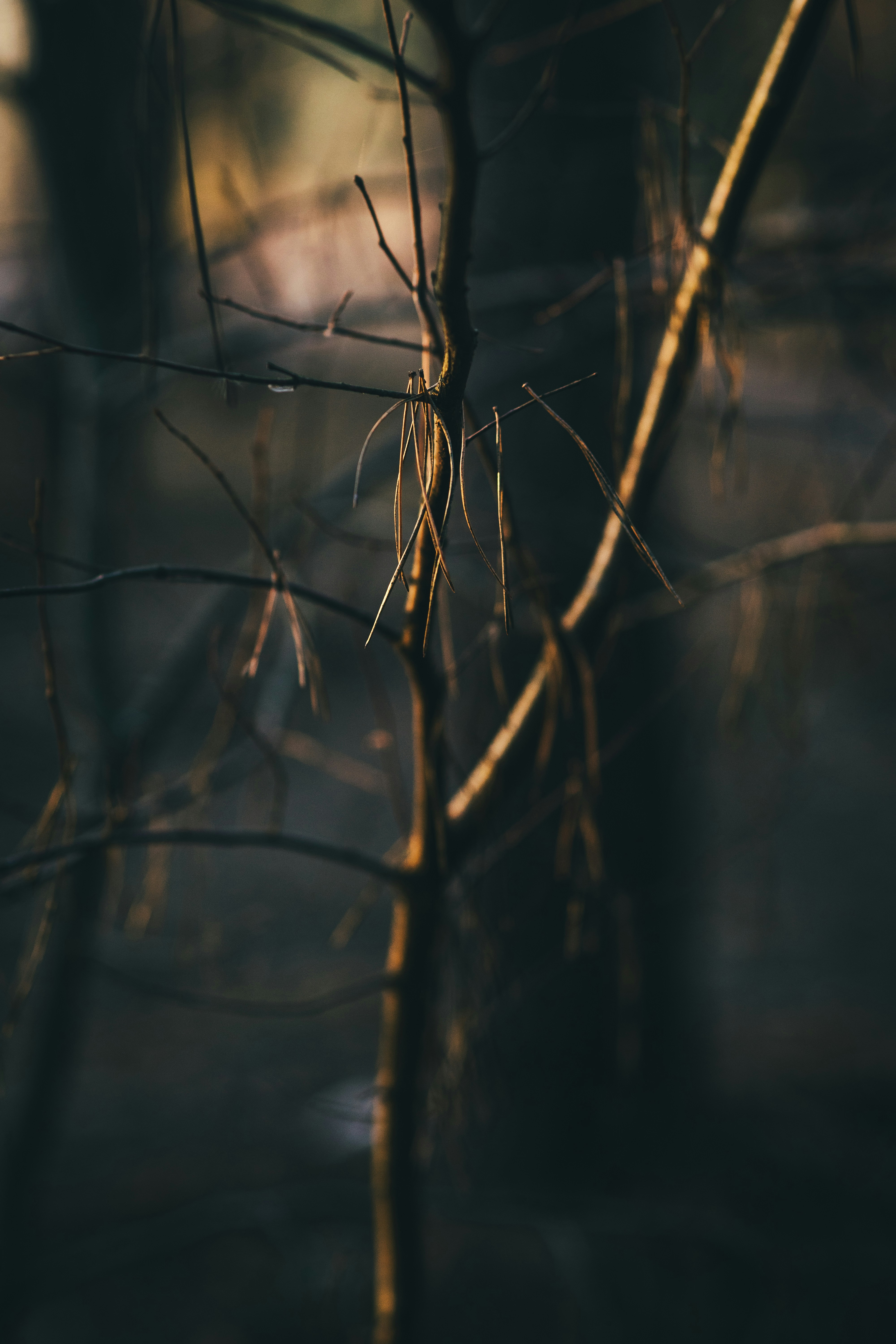 Photo by onmywayhome