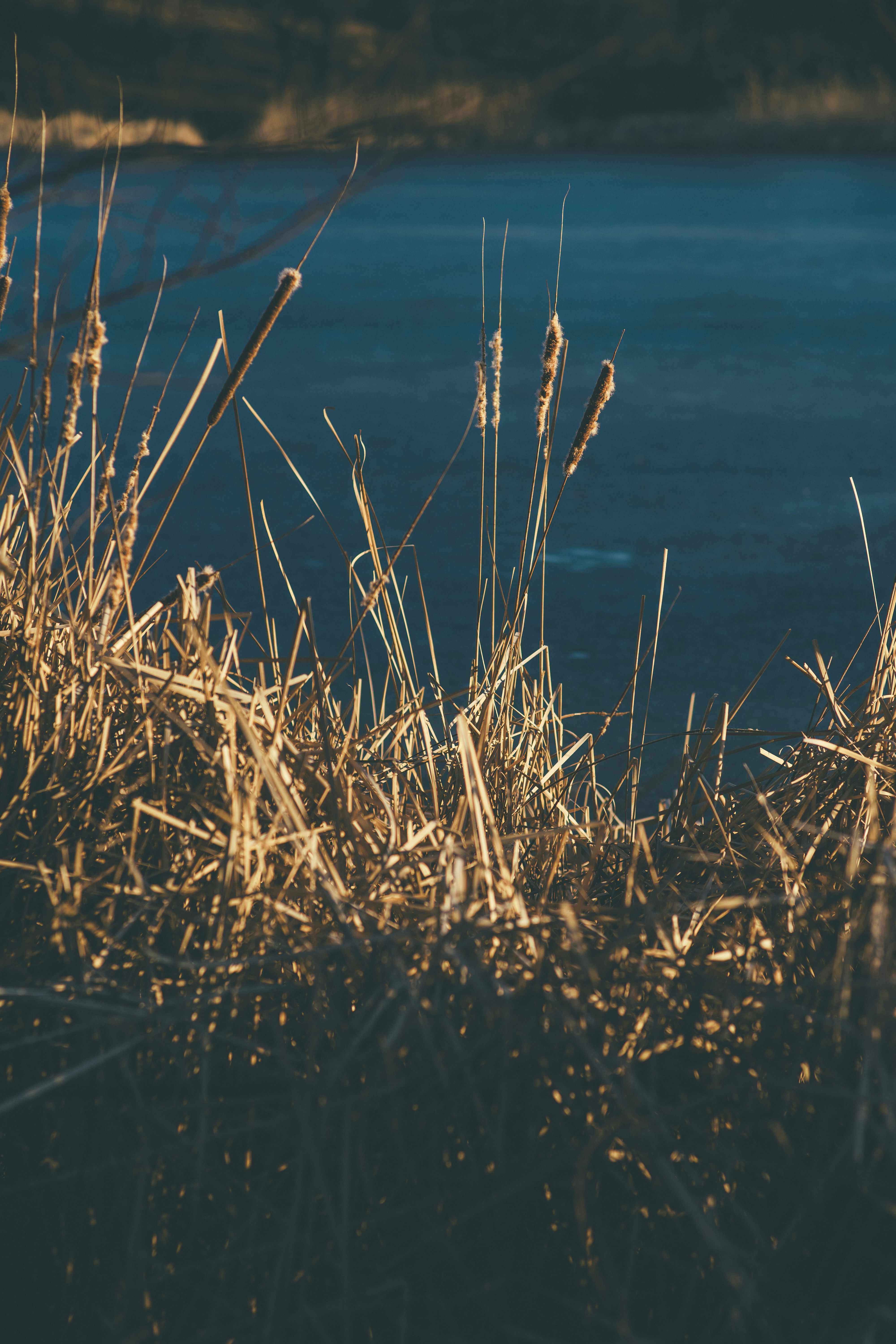 Photo by onmywayhome