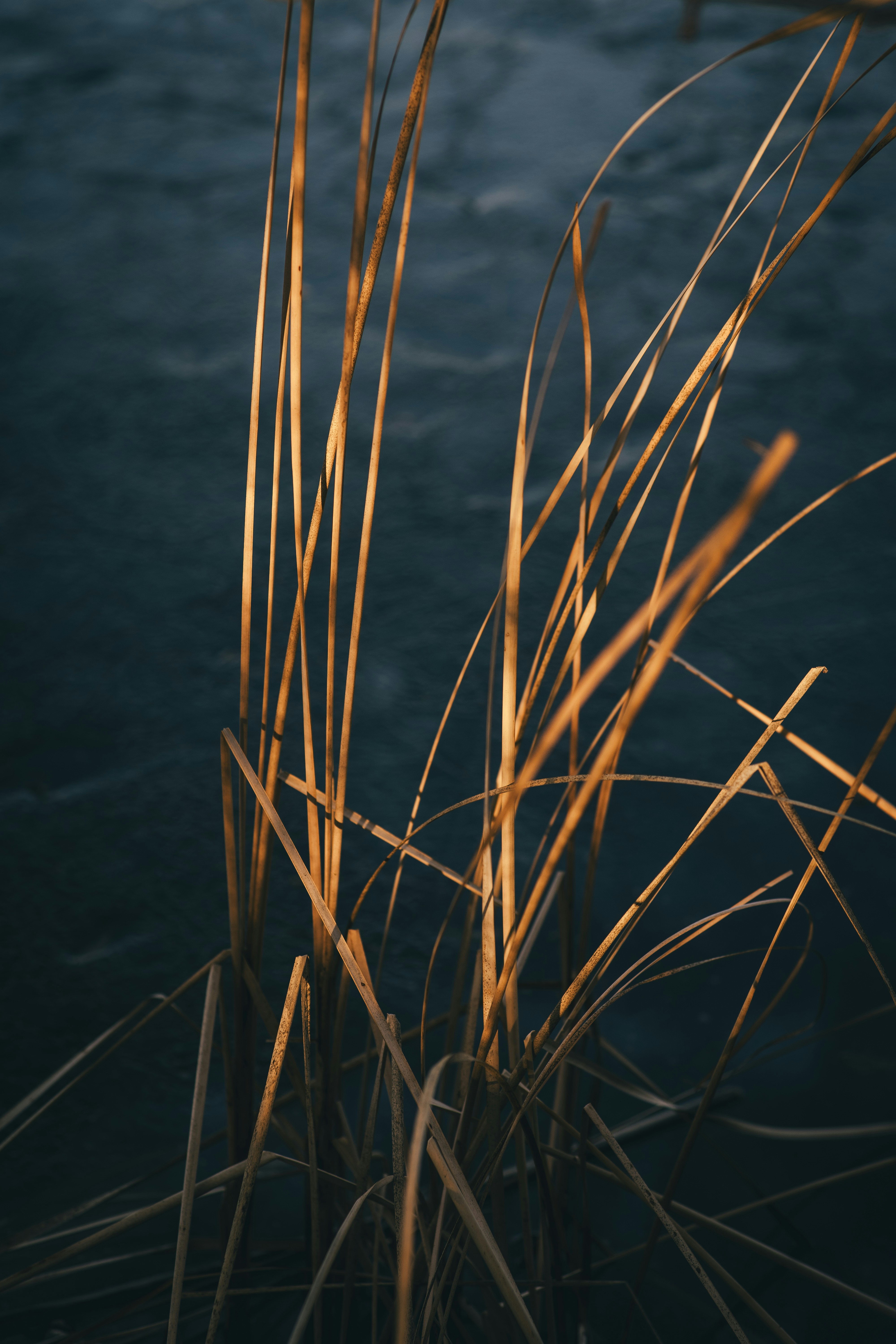 Photo by onmywayhome