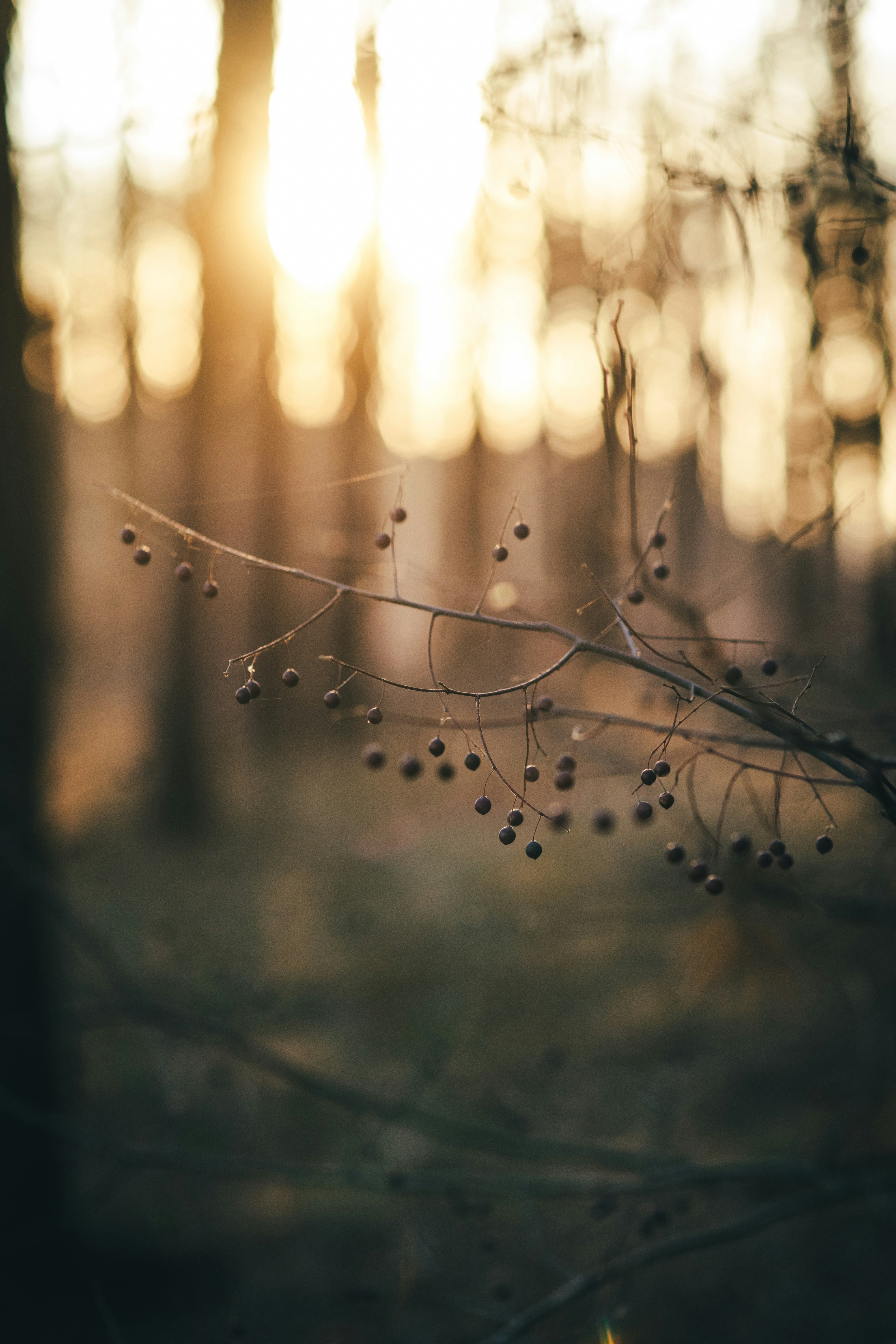 Photo by onmywayhome