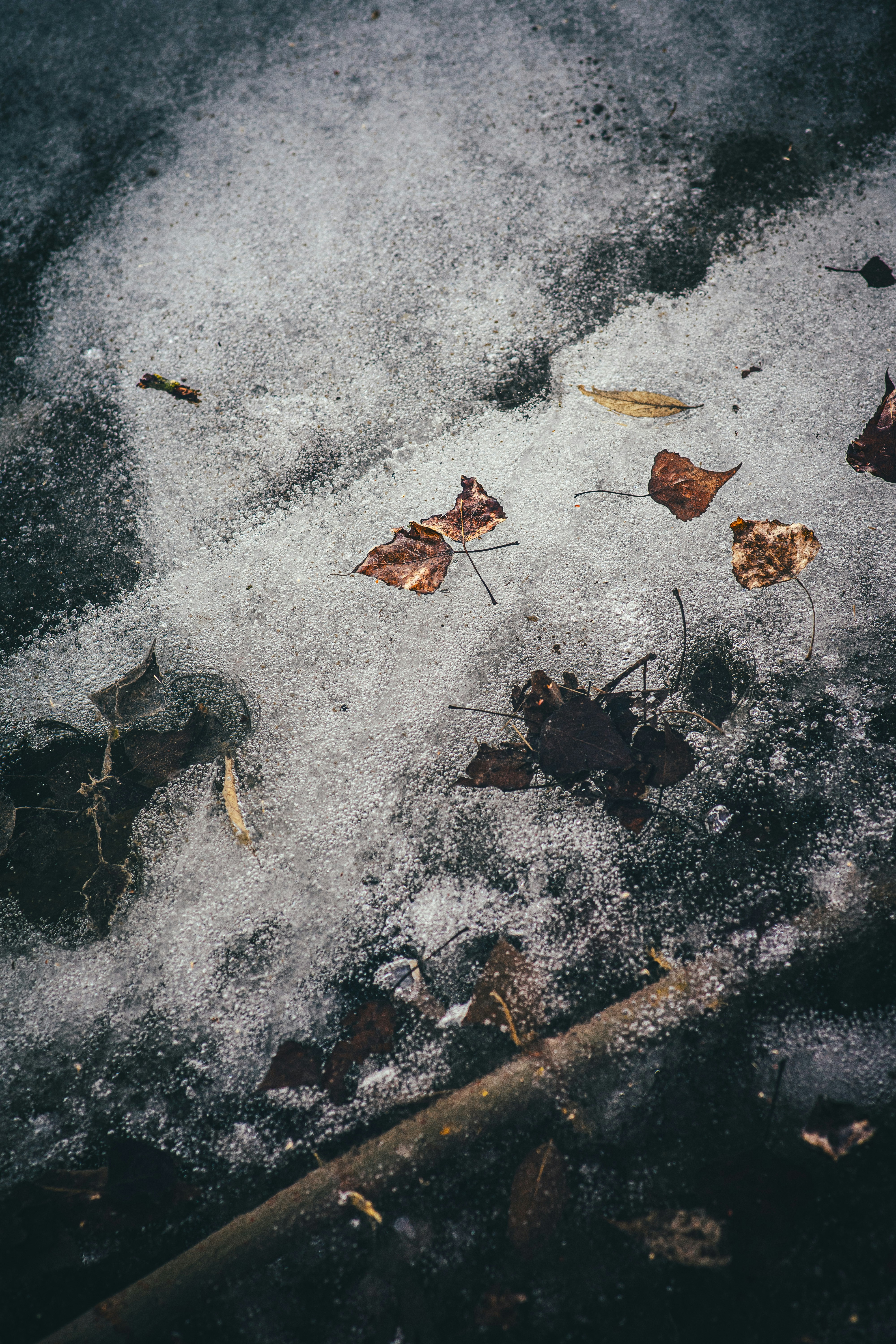 Photo by onmywayhome