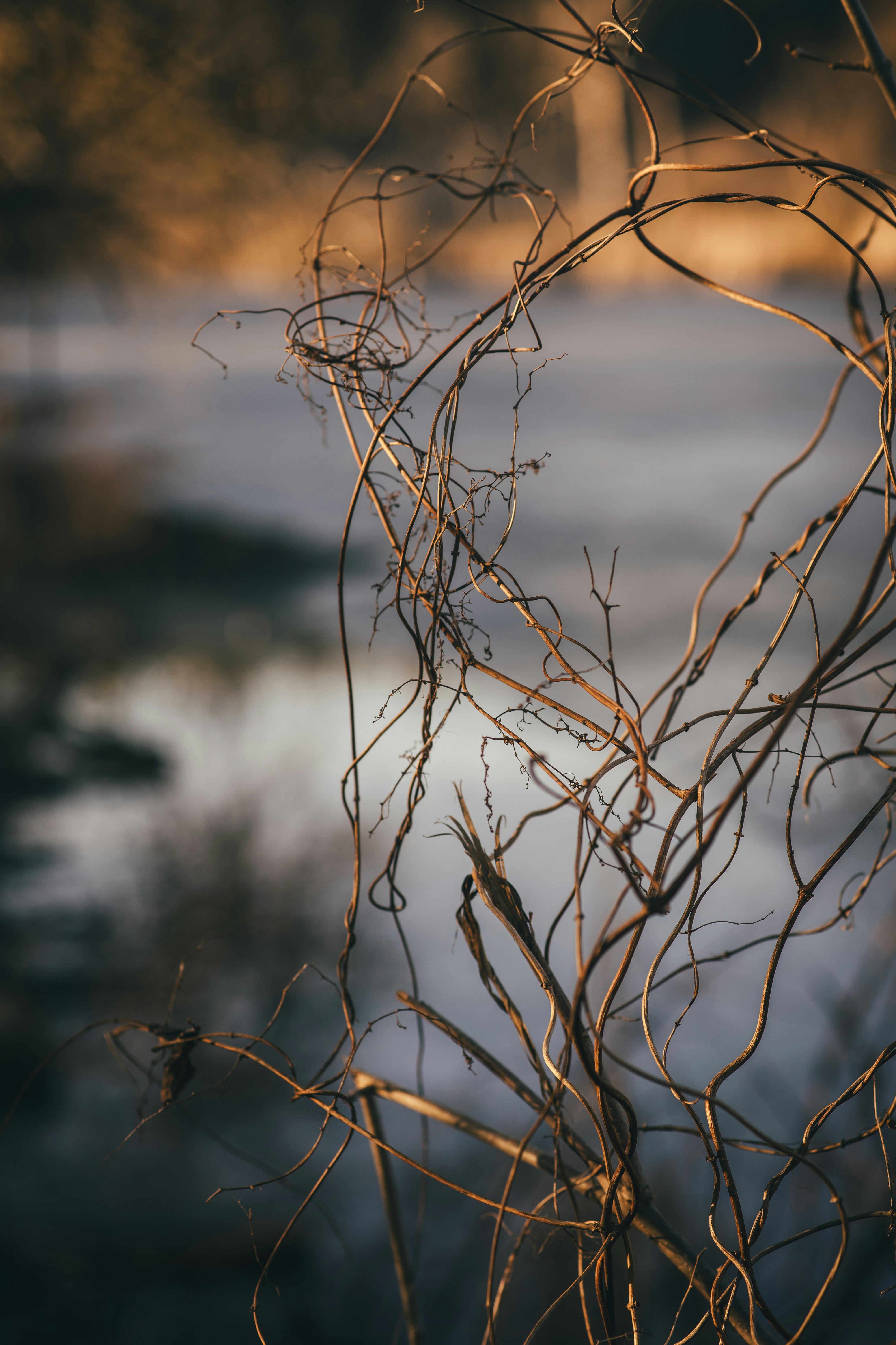 Photo by onmywayhome