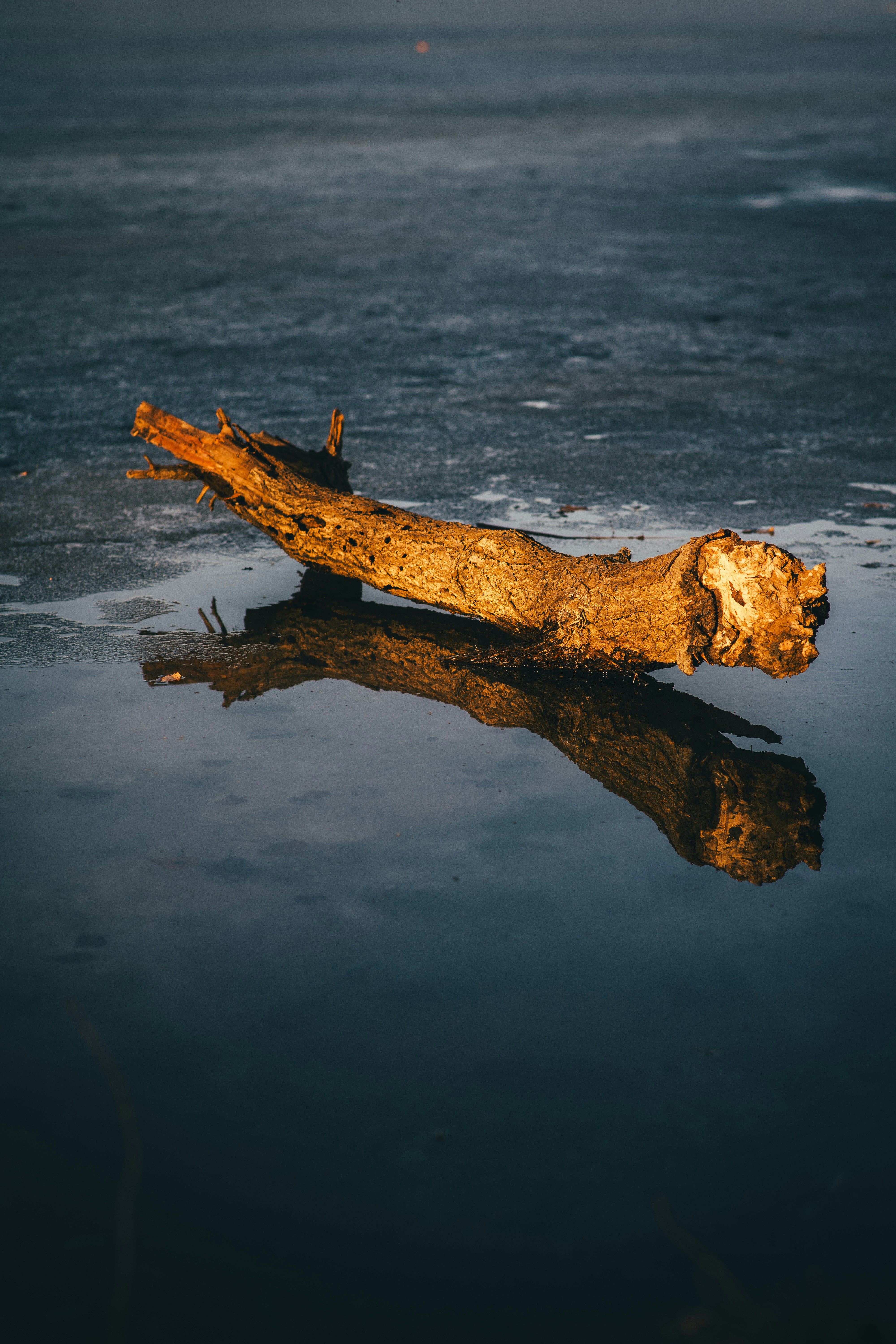 Photo by onmywayhome