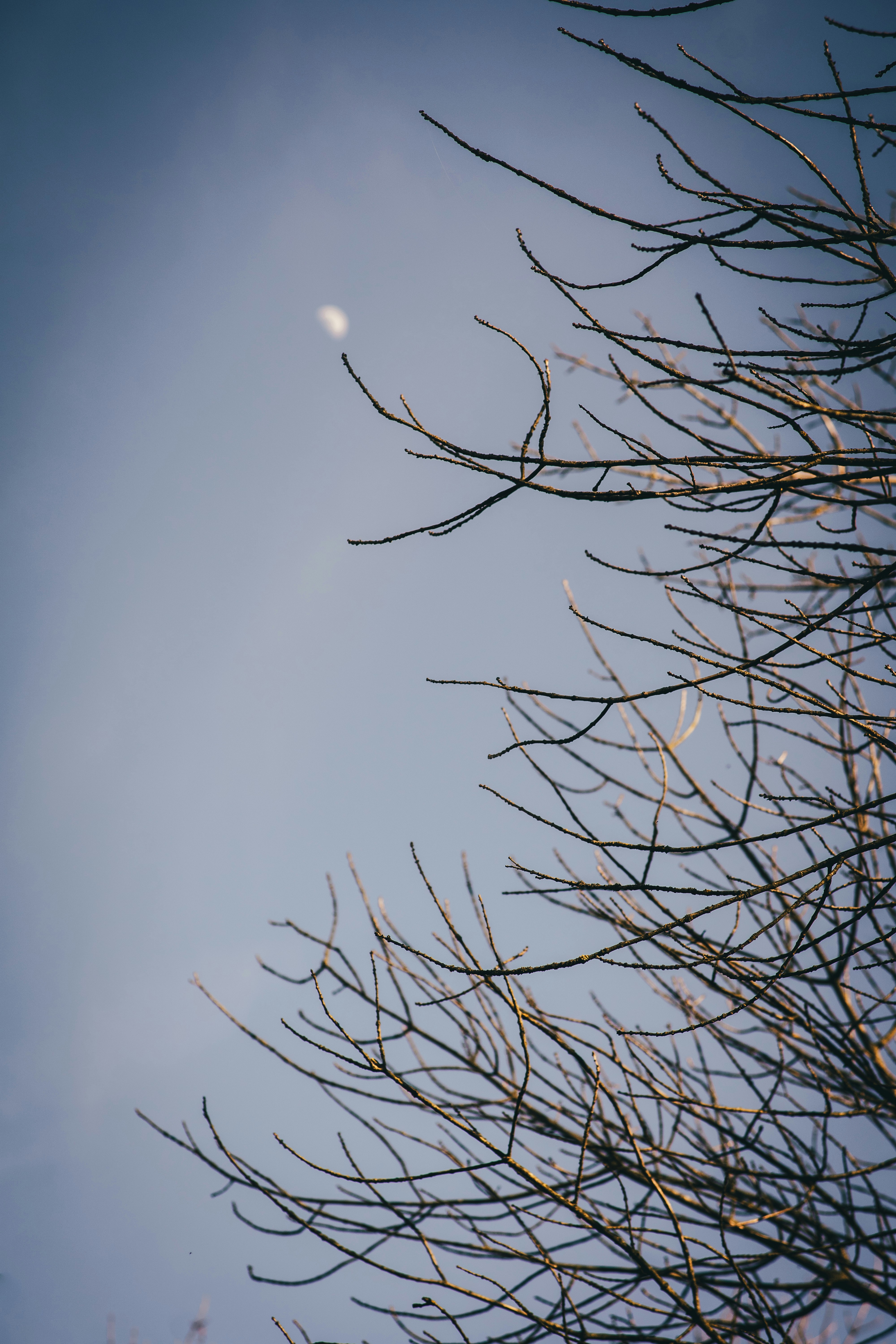 Photo by onmywayhome