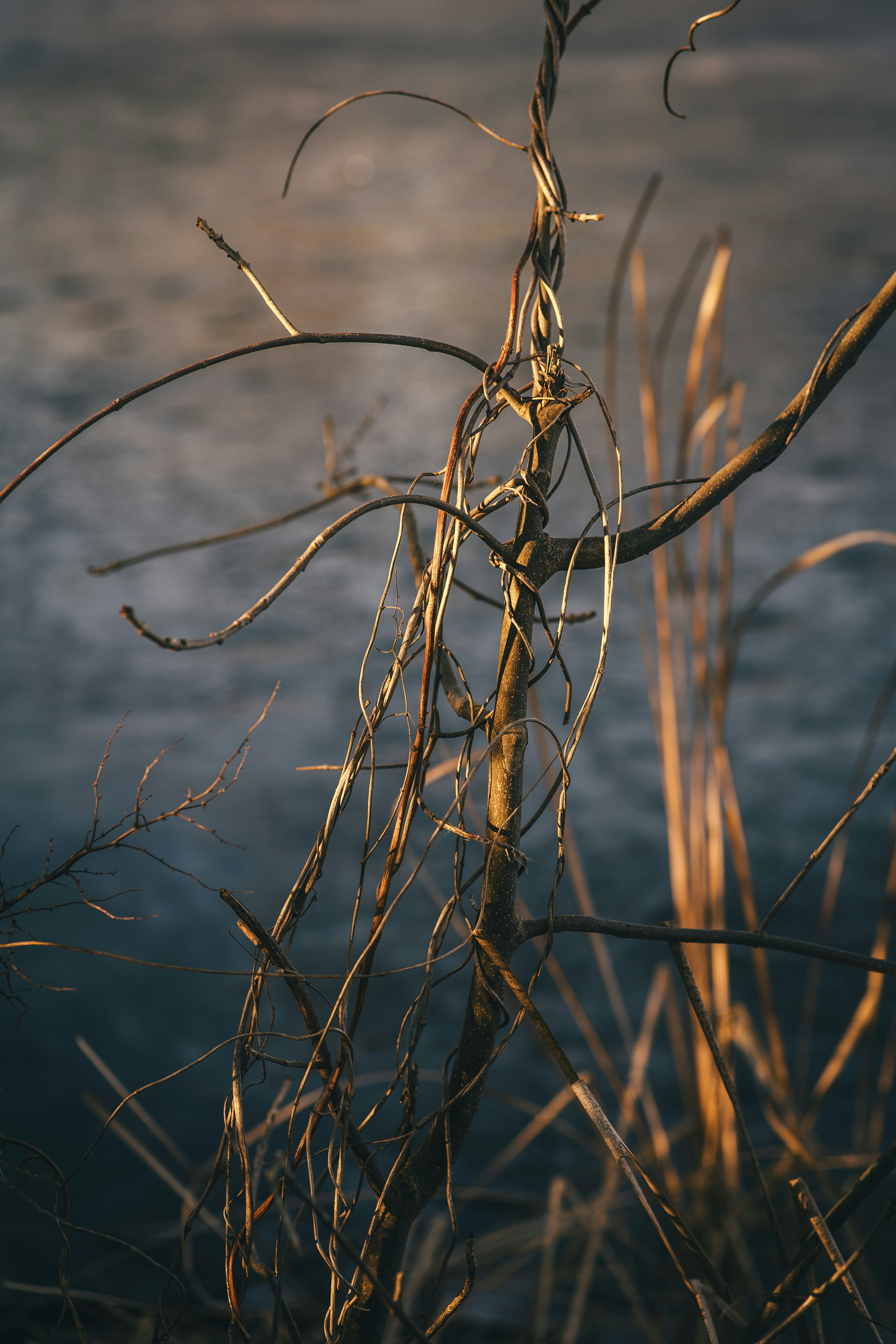 Photo by onmywayhome